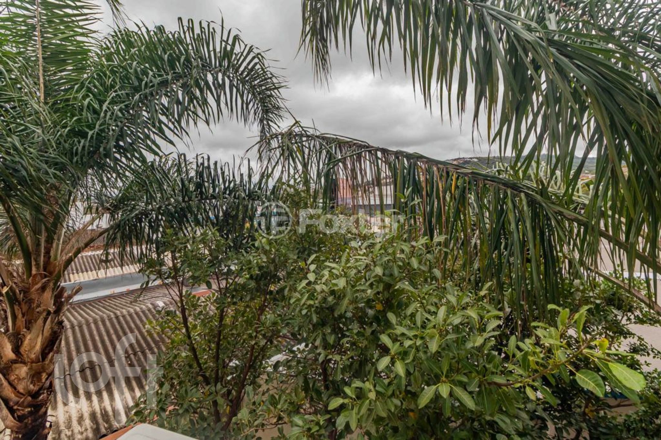 Imagem da propriedade 6