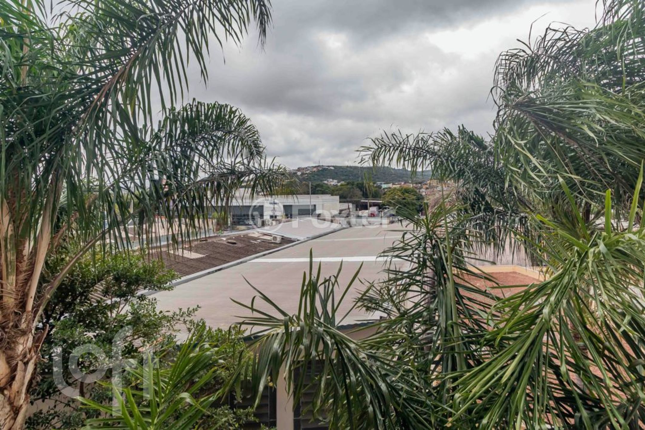 Imagem da propriedade 5