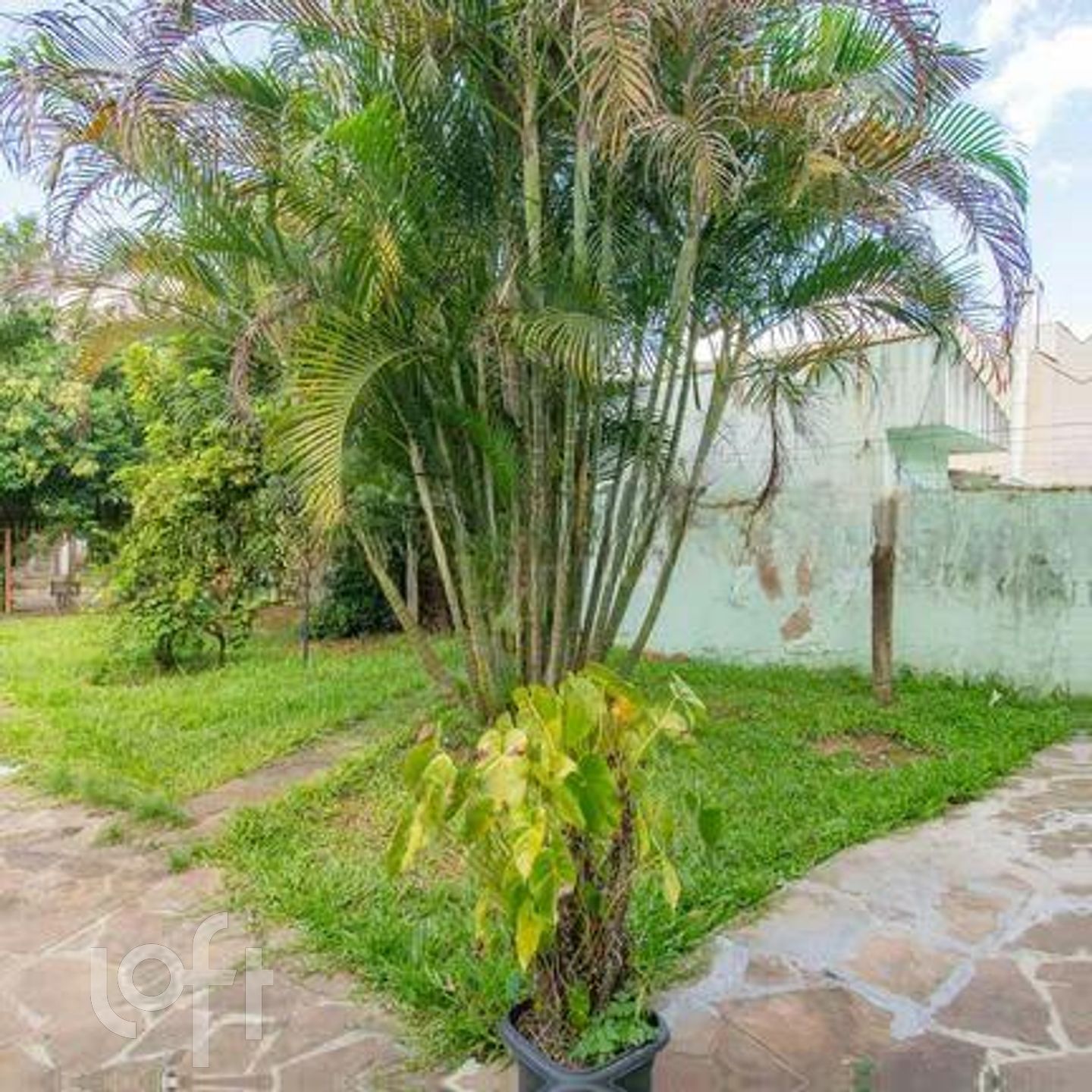 Imagem da propriedade 26