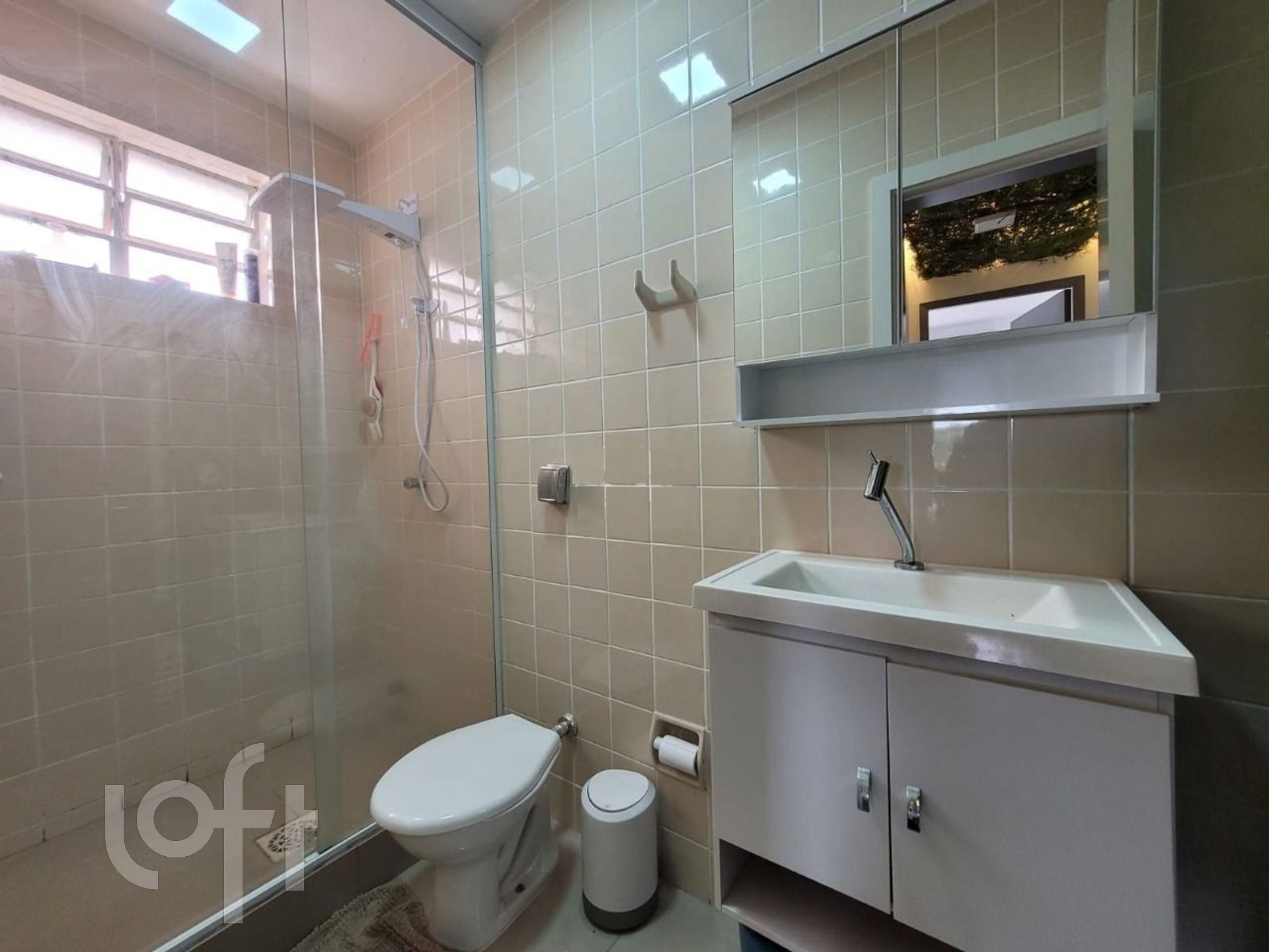 Imagem da propriedade 11