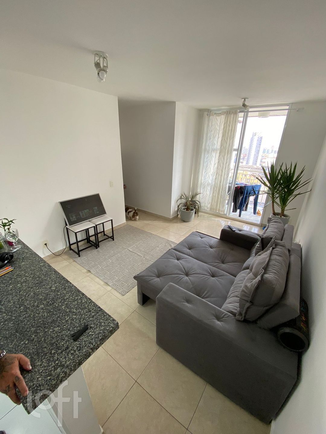 Apartamento, 3 quartos, 60 m² - Foto 1