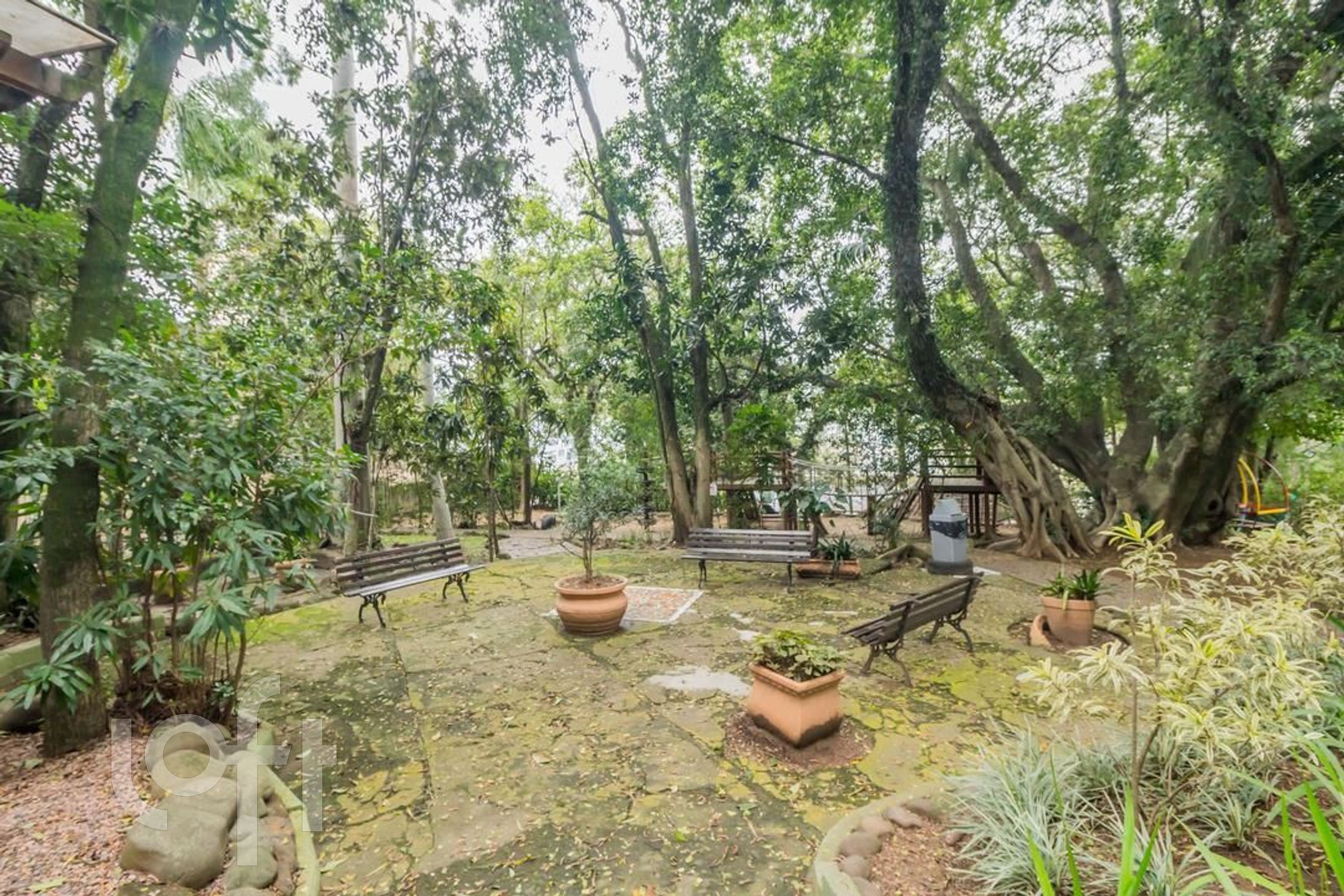 Imagem da propriedade 41