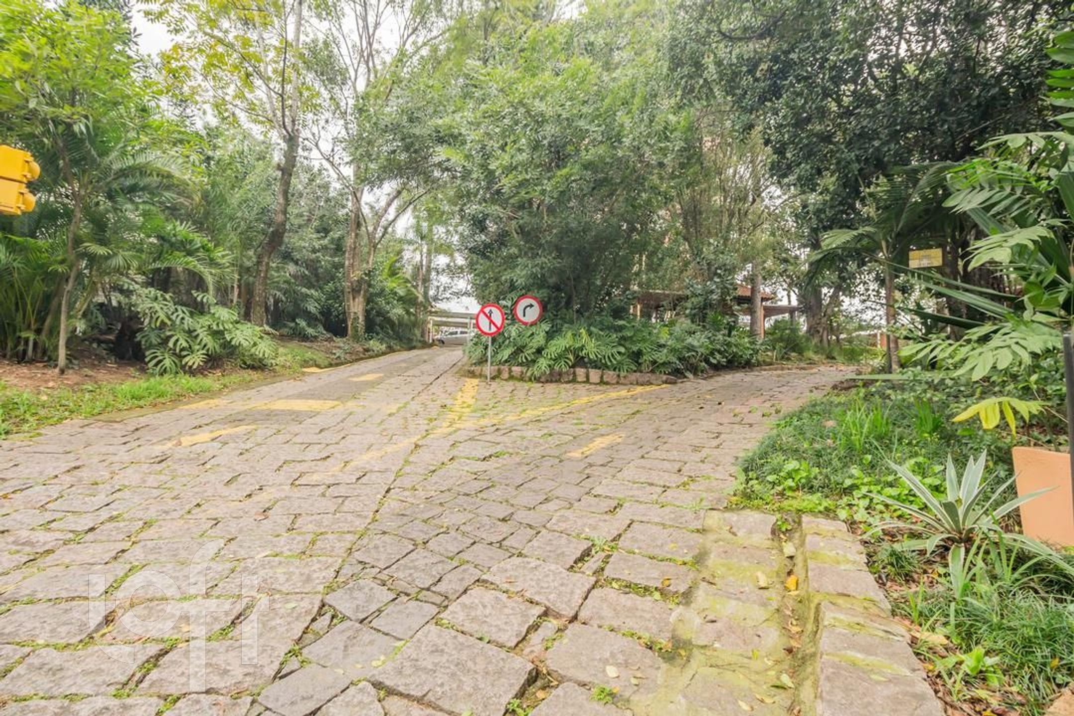 Imagem da propriedade 35