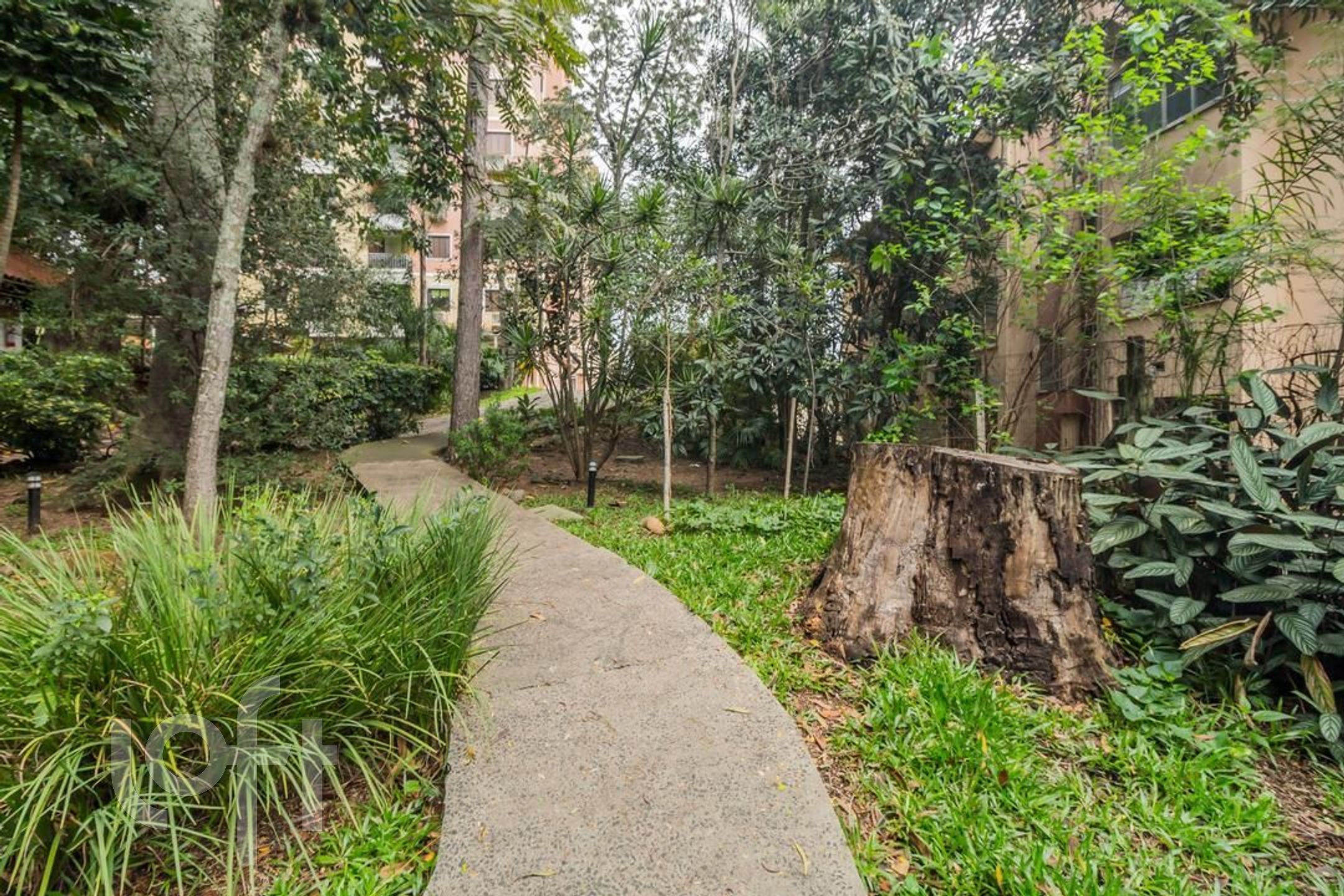 Imagem da propriedade 34