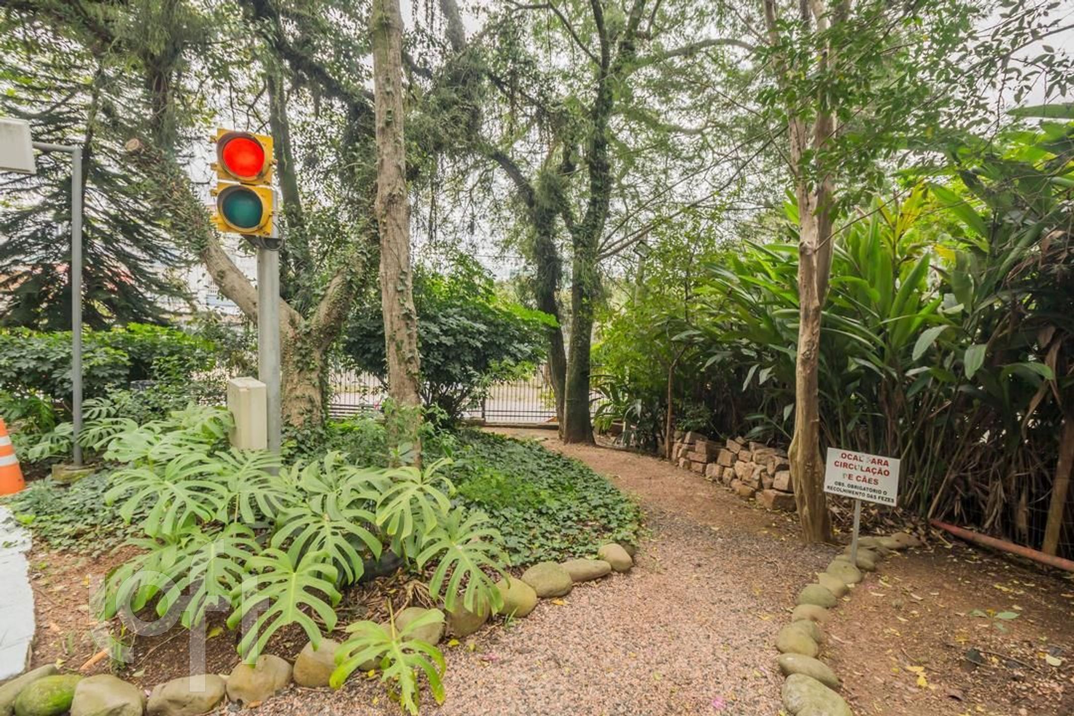 Imagem da propriedade 36