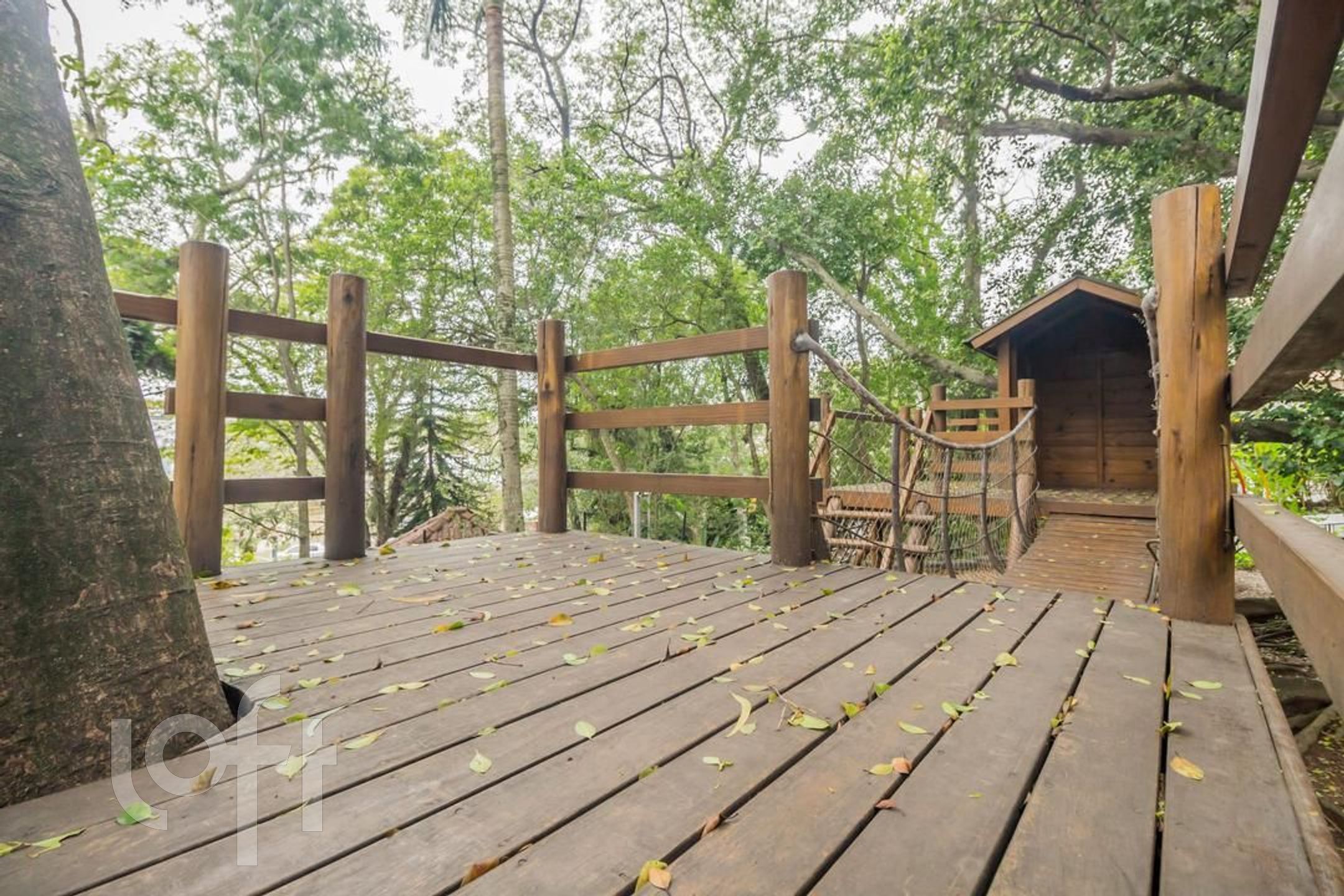 Imagem da propriedade 43