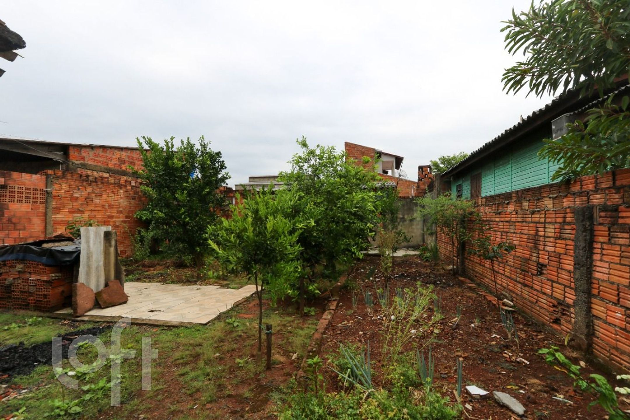 Imagem da propriedade 21