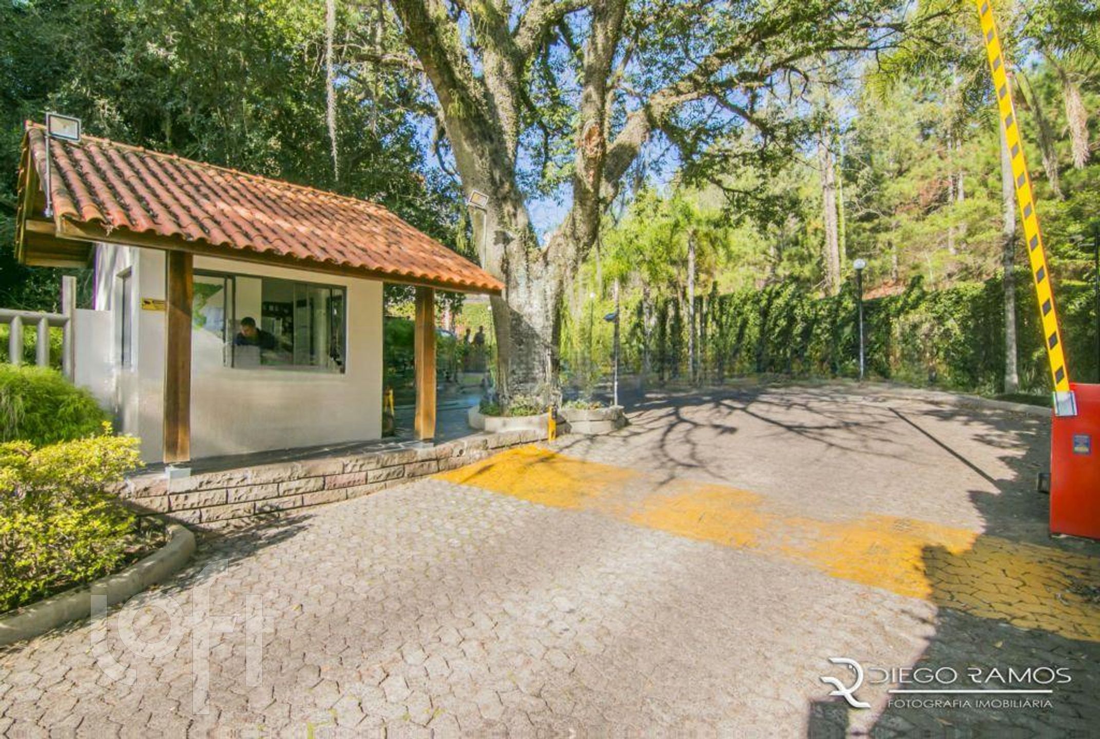 Imagem da propriedade 24