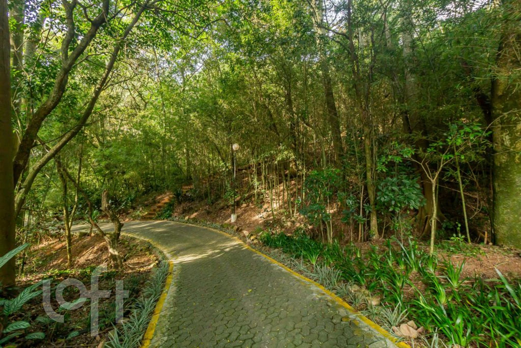 Imagem da propriedade 37