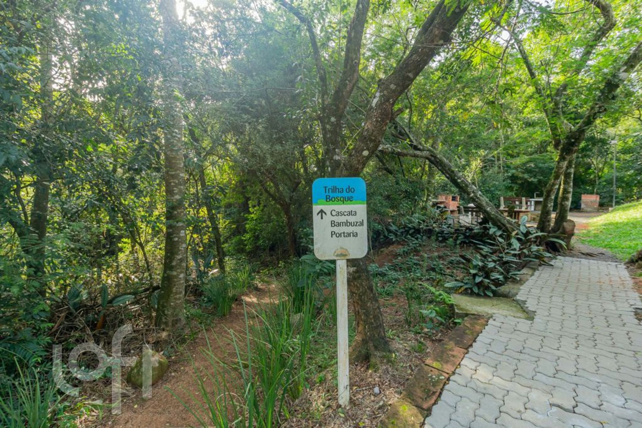 Imagem da propriedade 34