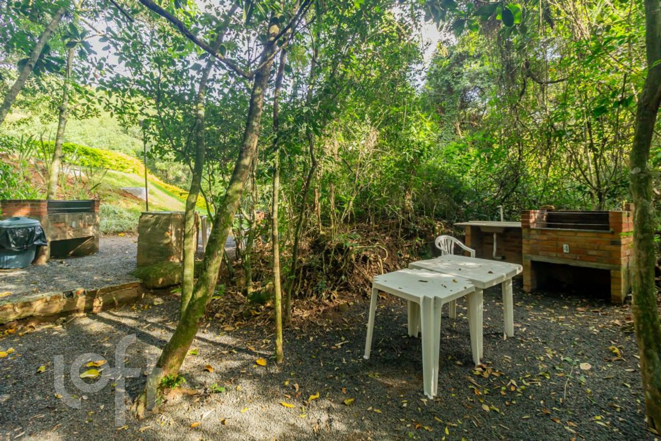 Imagem da propriedade 7