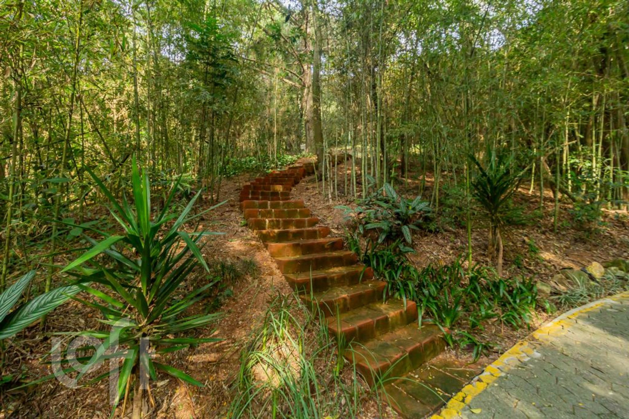 Imagem da propriedade 6