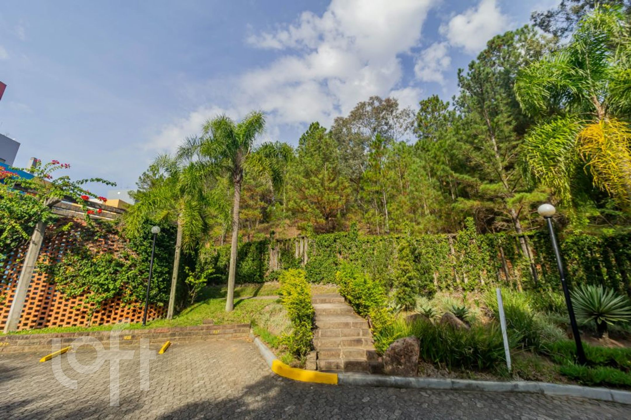 Imagem da propriedade 36