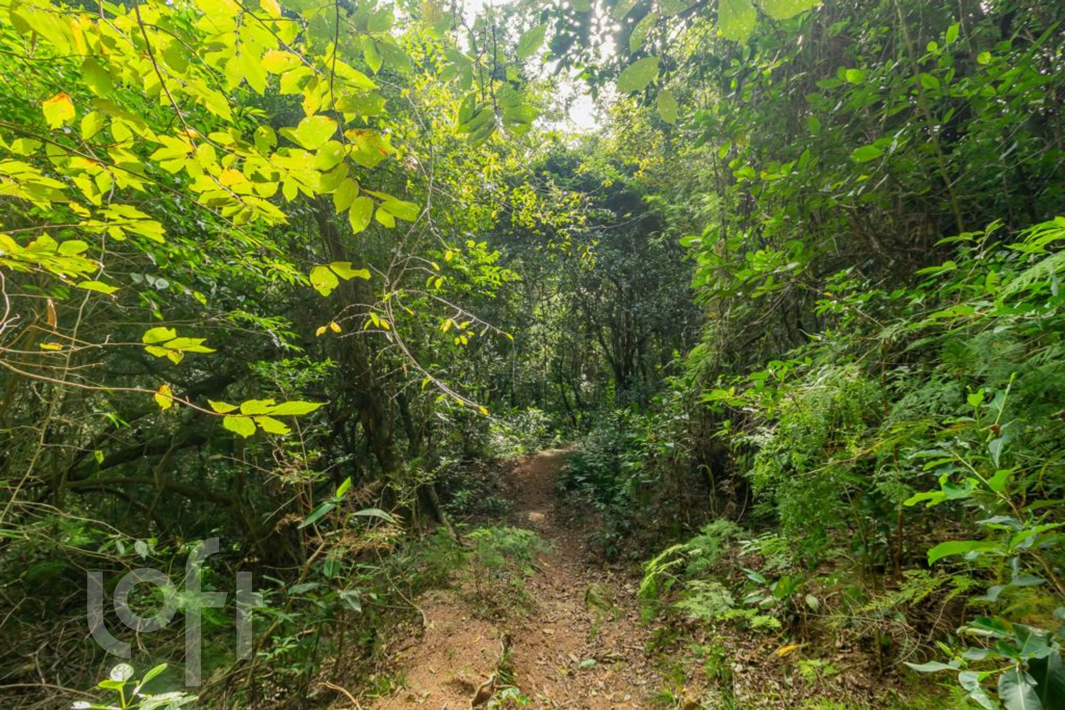 Imagem da propriedade 39