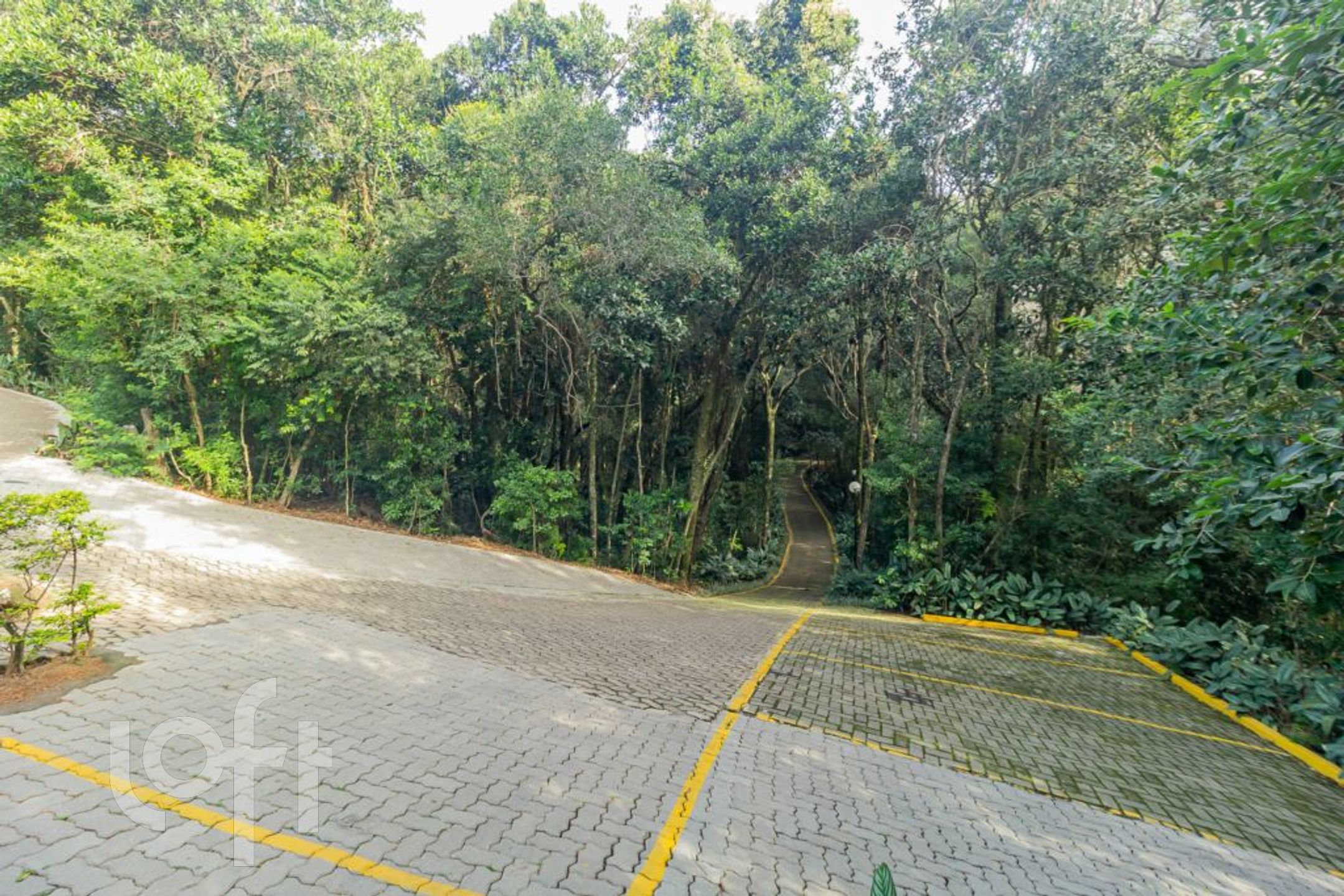 Imagem da propriedade 35