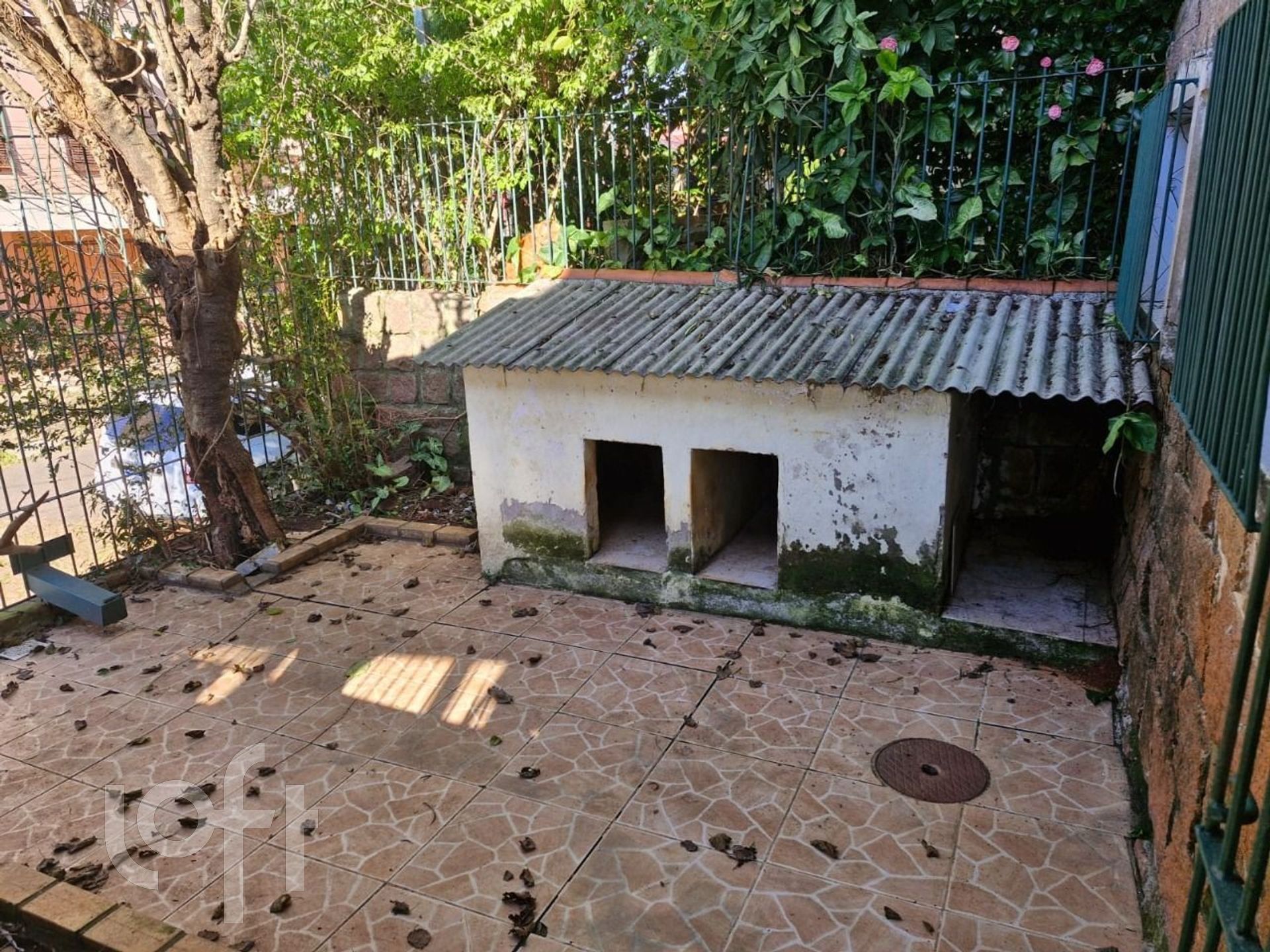 Imagem da propriedade 17