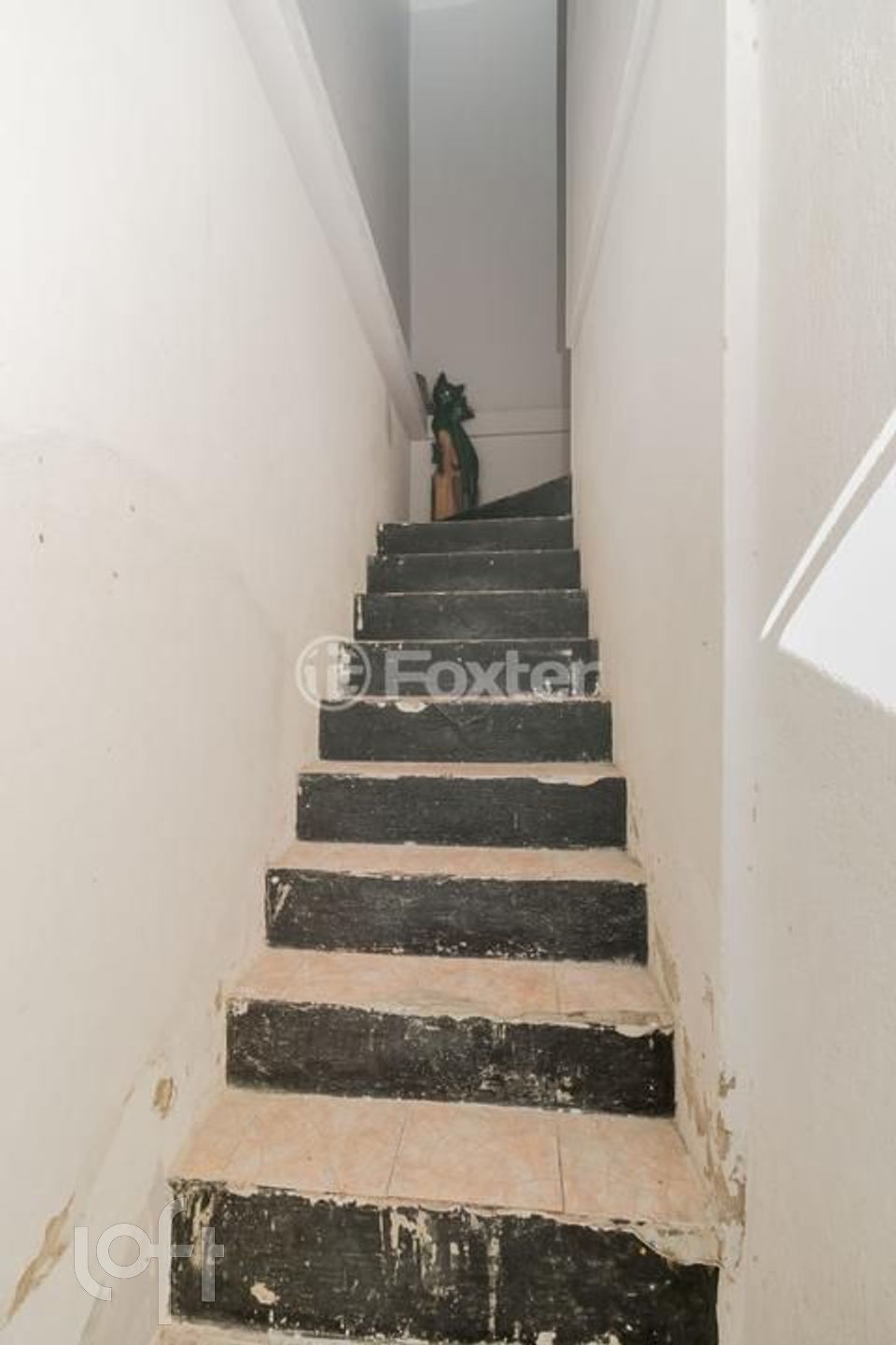 Imagem da propriedade 29