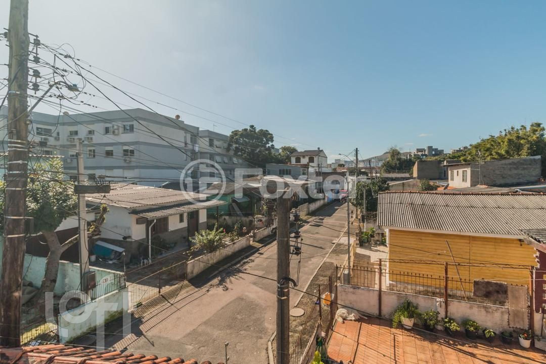 Imagem da propriedade 39