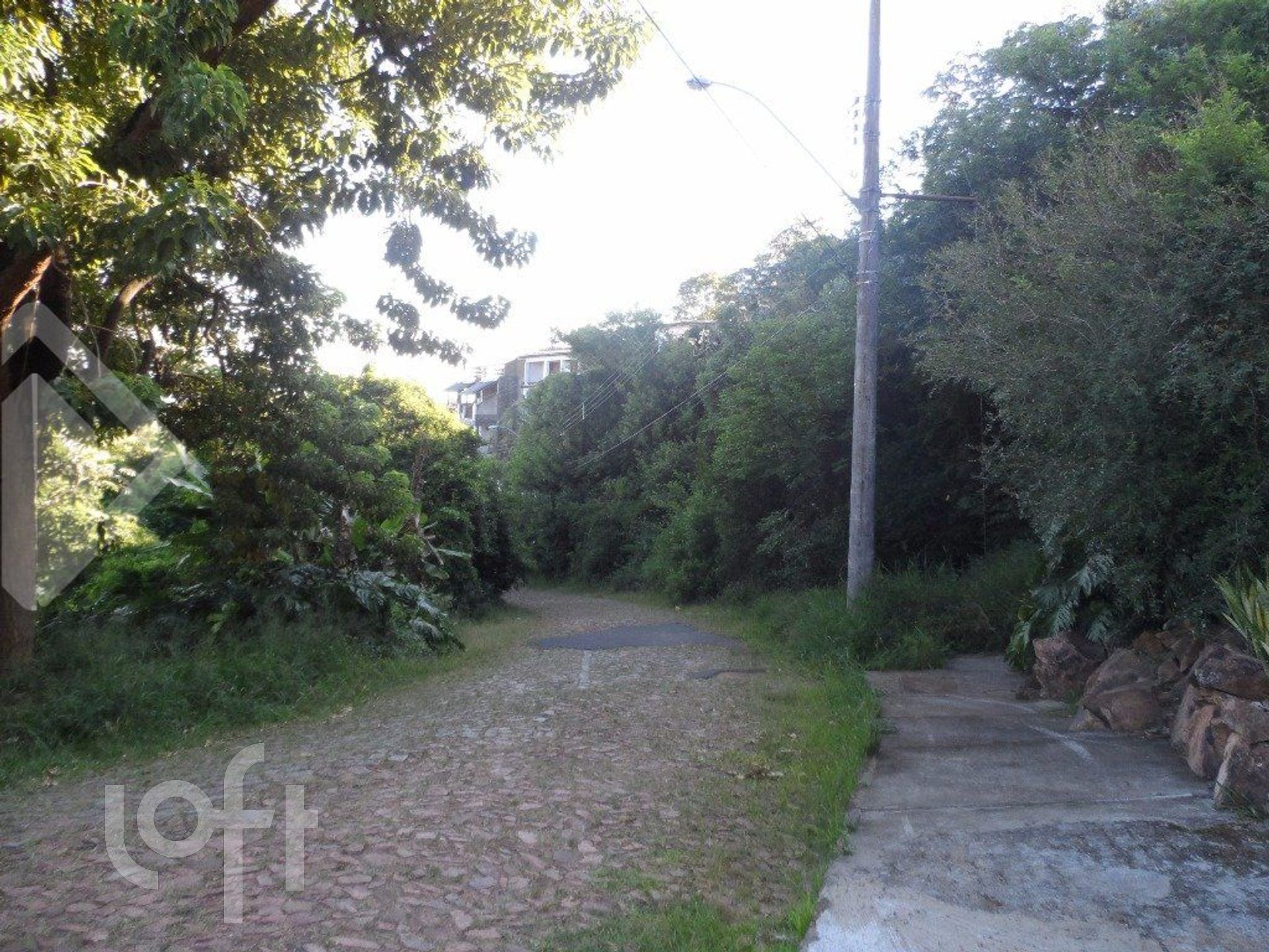 Imagem da propriedade 13