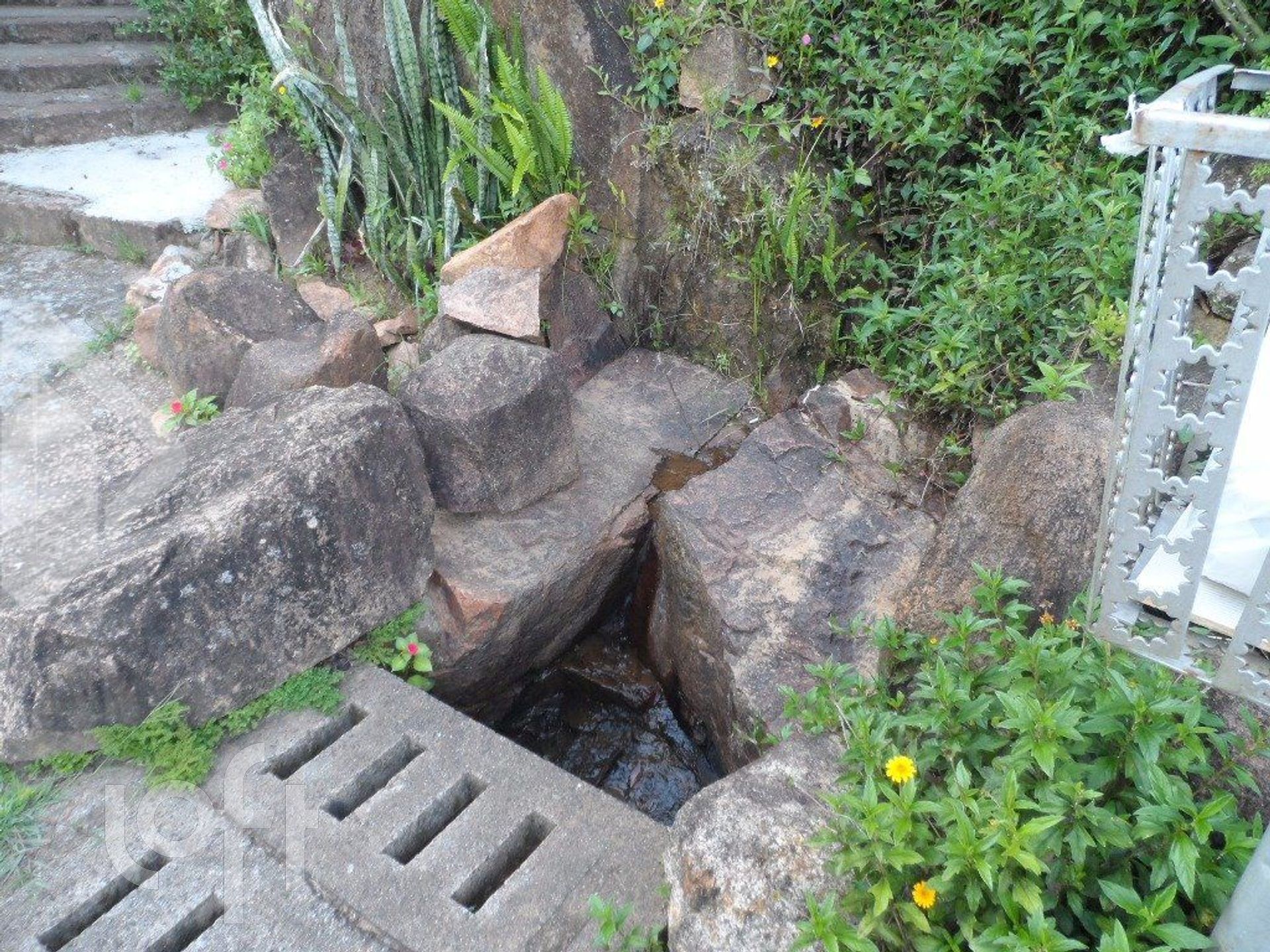 Imagem da propriedade 2