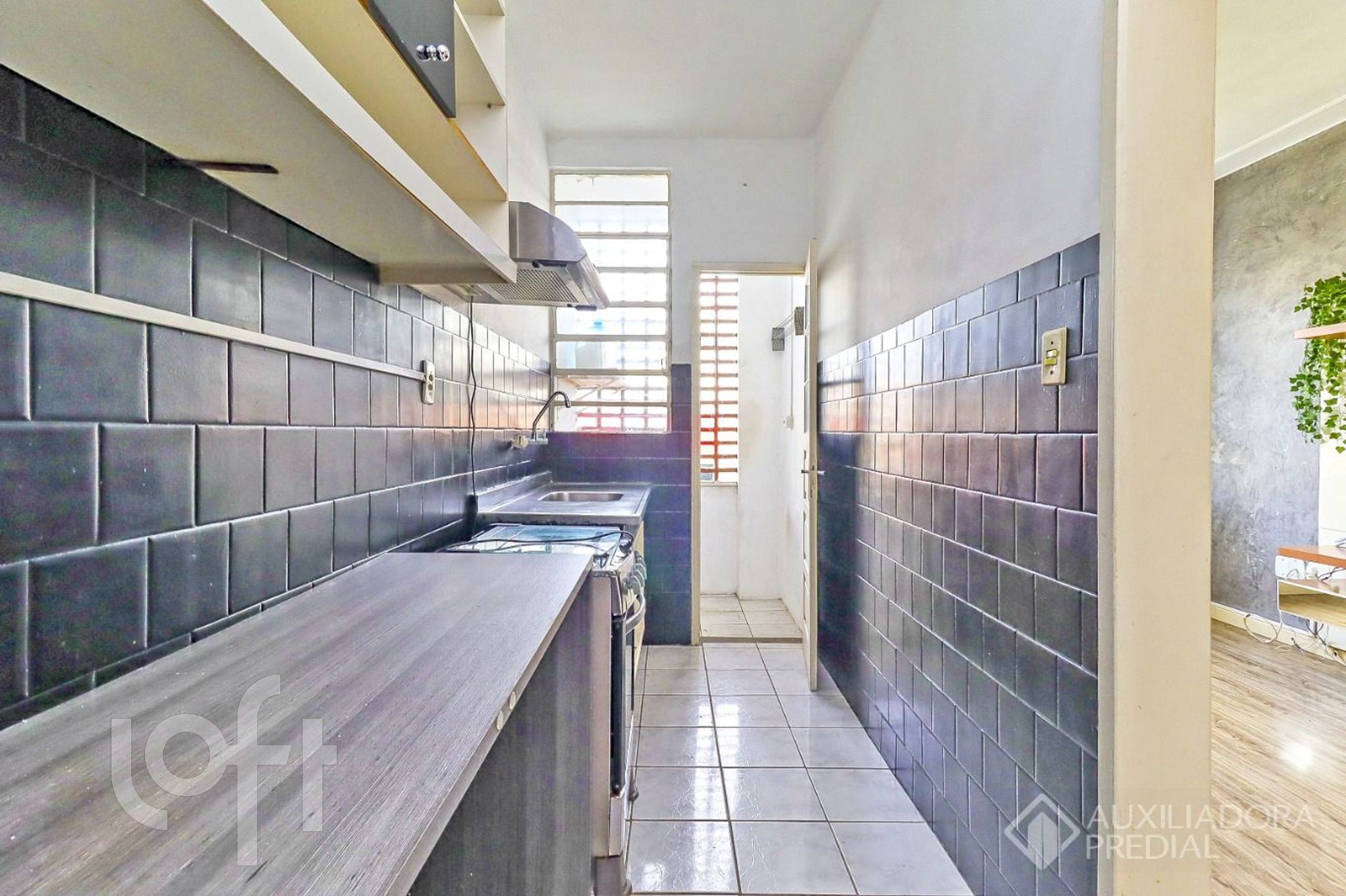 Imagem da propriedade 16