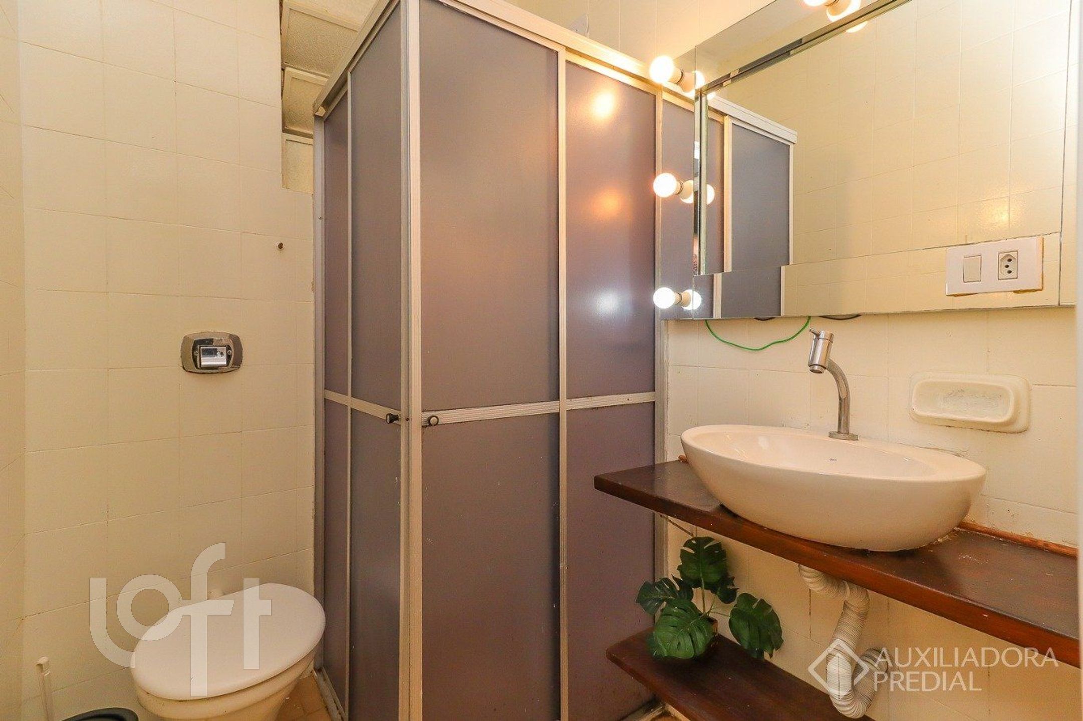 Imagem da propriedade 8