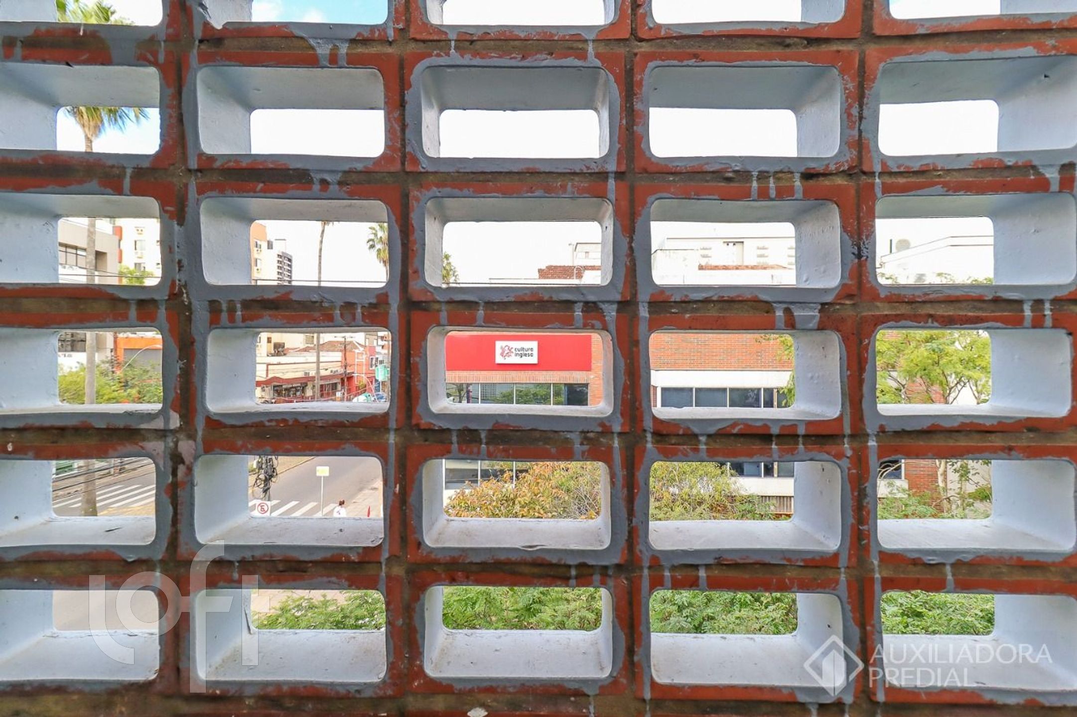 Imagem da propriedade 19