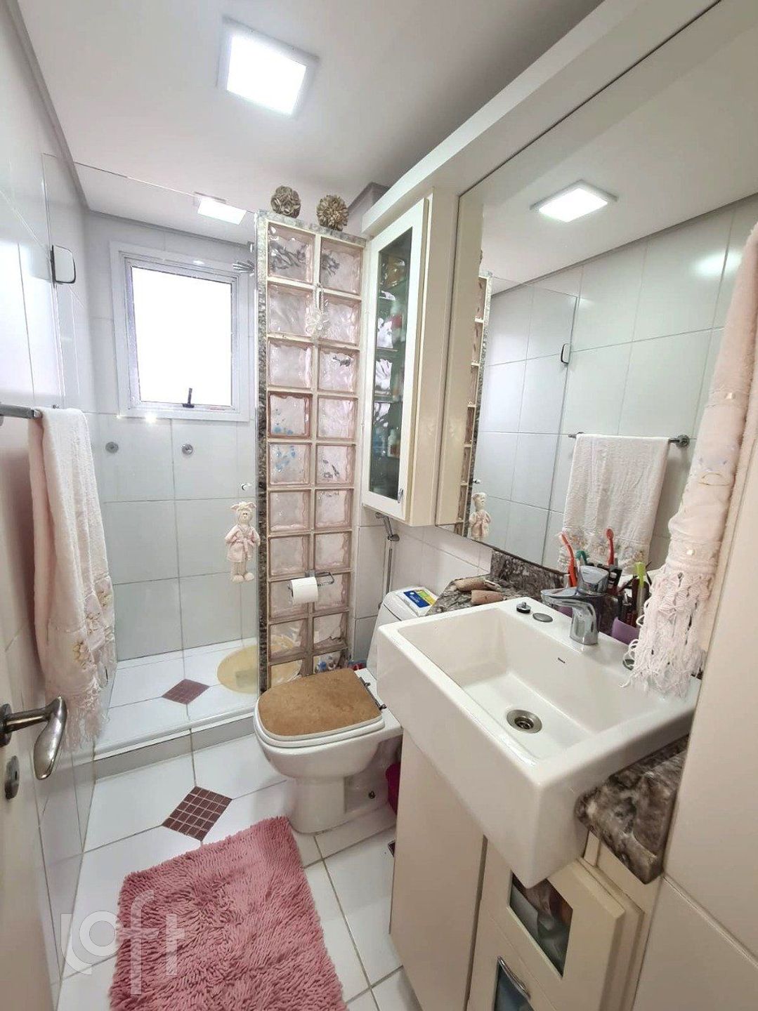 Imagem da propriedade 6