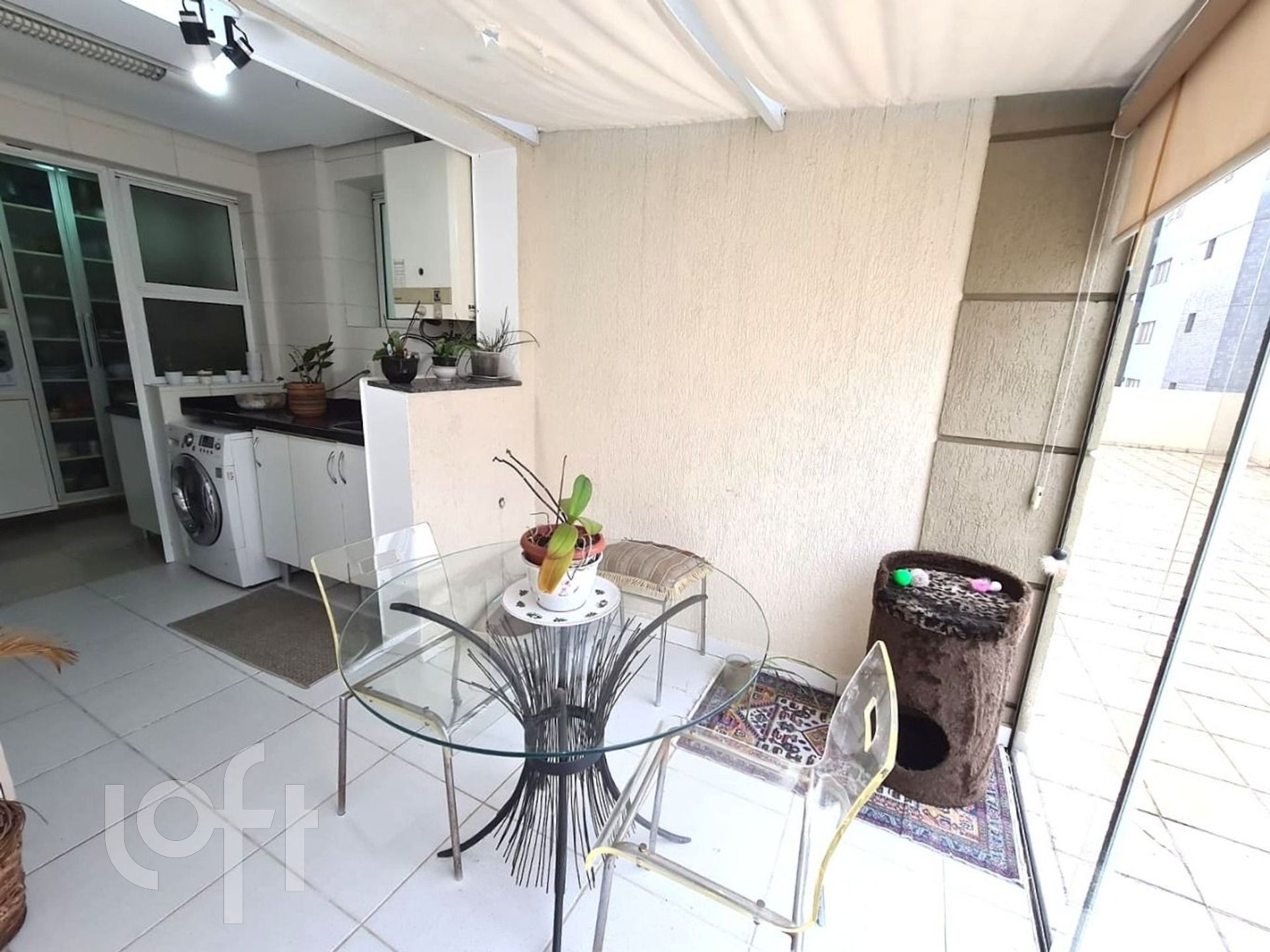 Imagem da propriedade 9