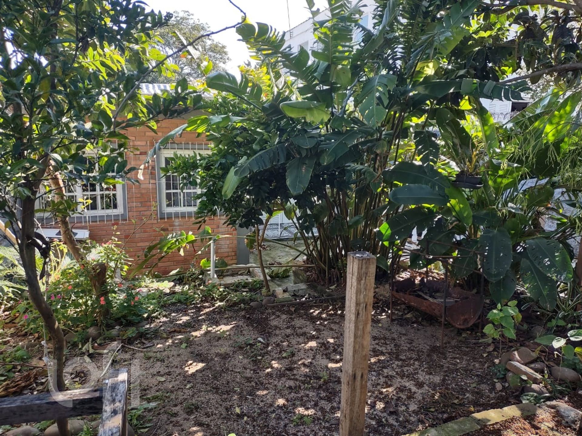 Imagem da propriedade 44