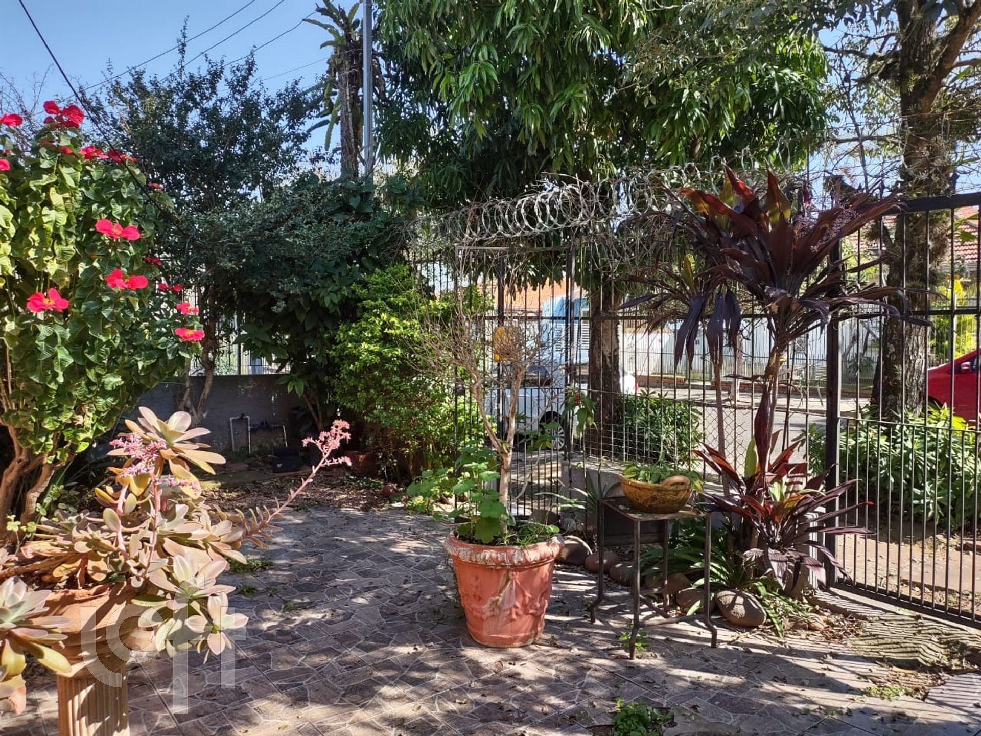 Imagem da propriedade 3