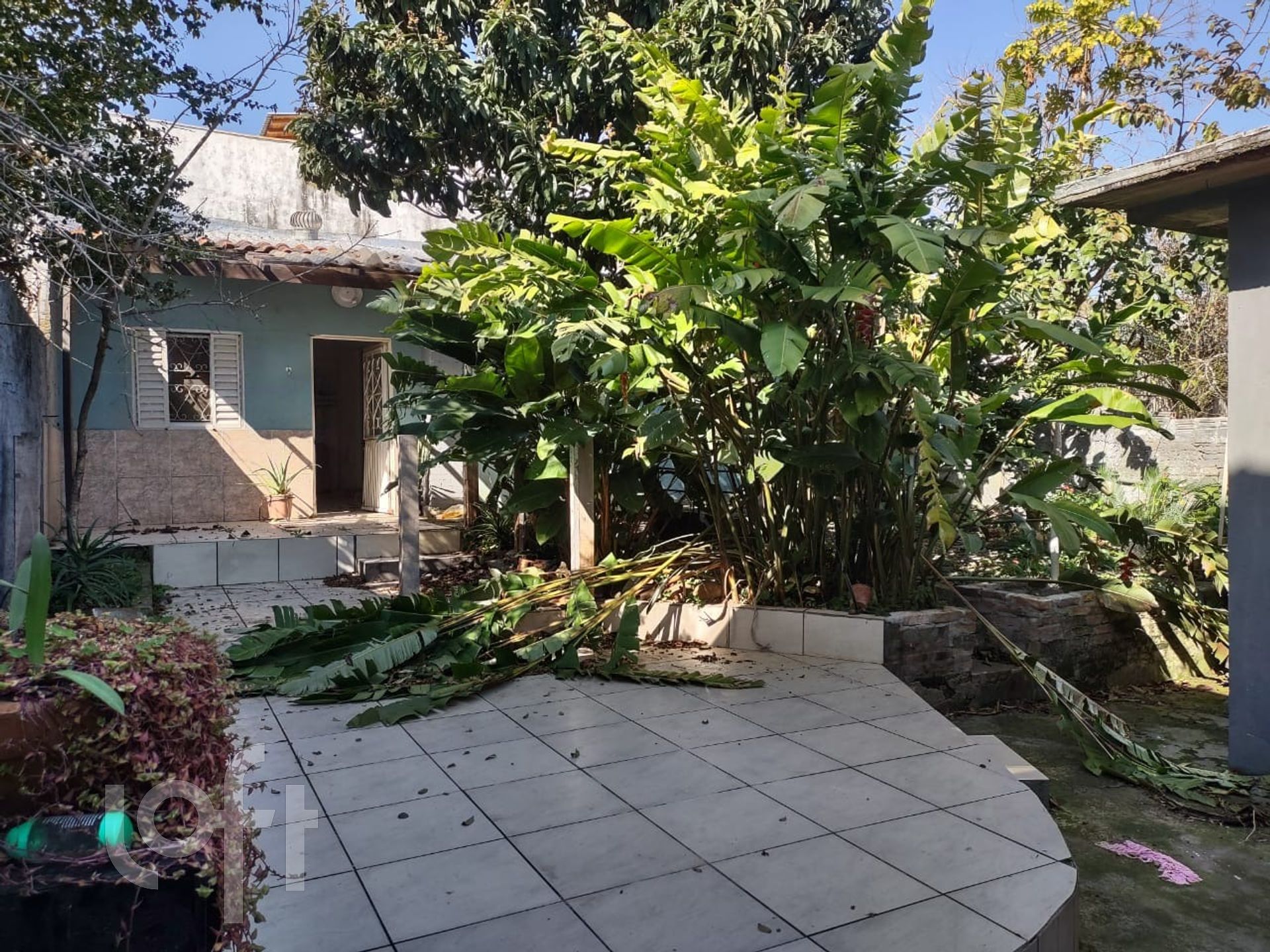 Imagem da propriedade 39