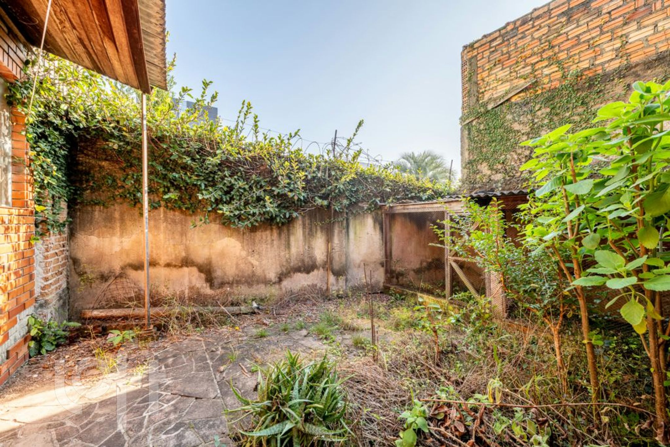 Imagem da propriedade 30