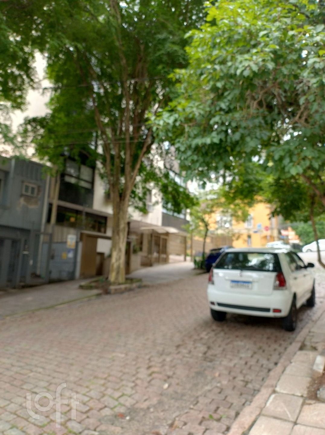 Imagem da propriedade 32