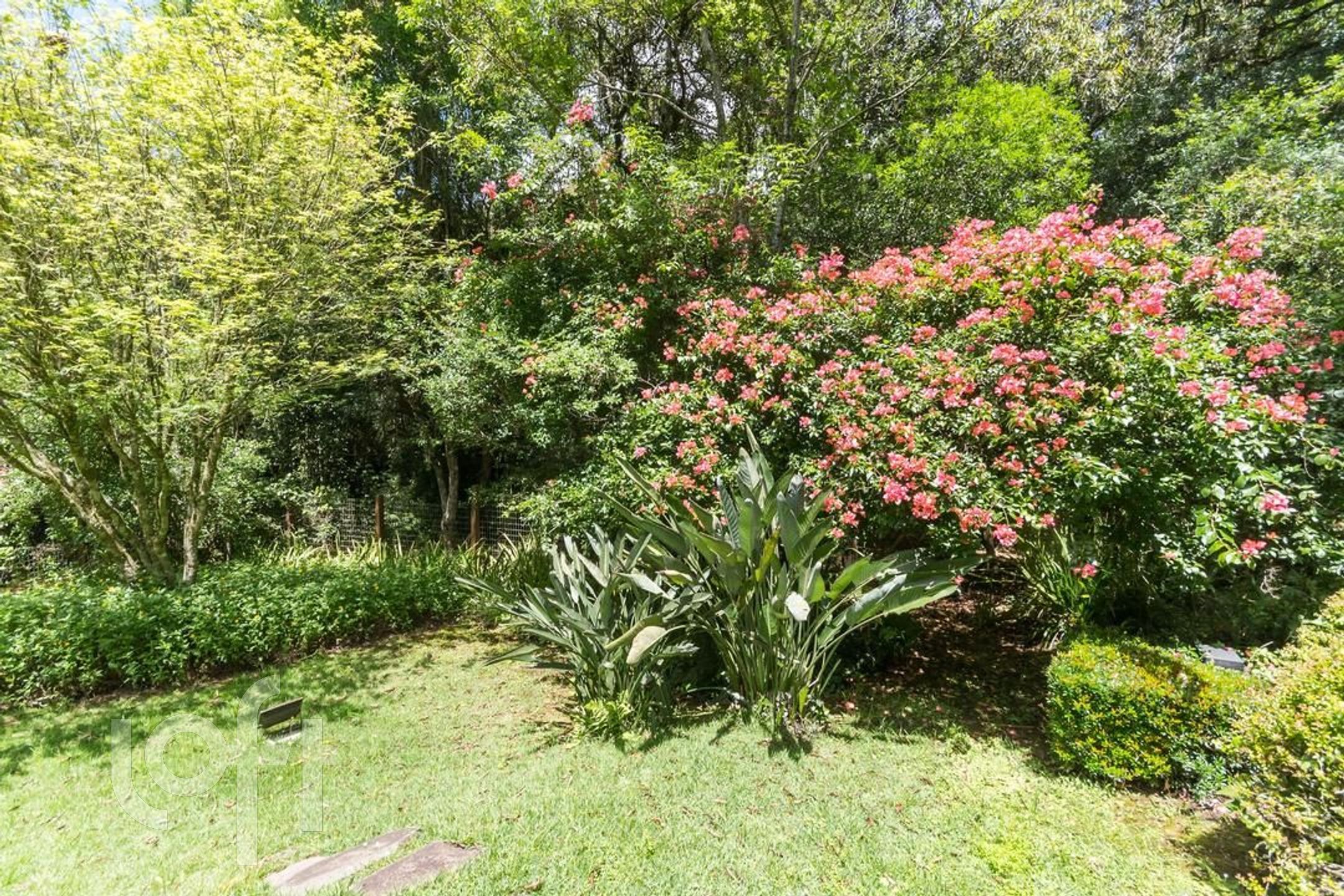 Imagem da propriedade 57