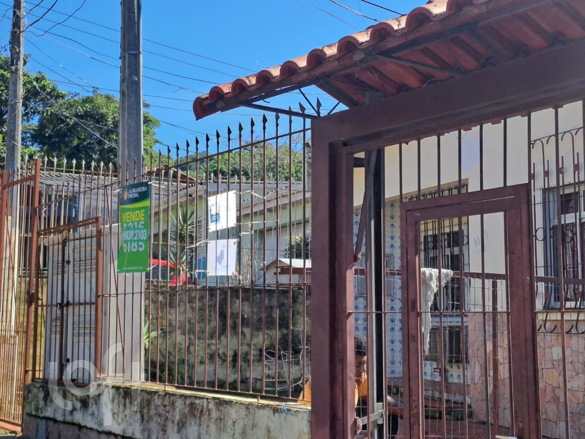 Imagem da propriedade 4