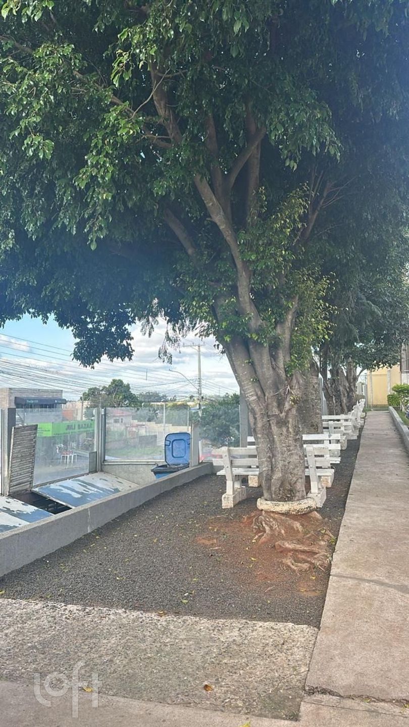 Imagem da propriedade 12