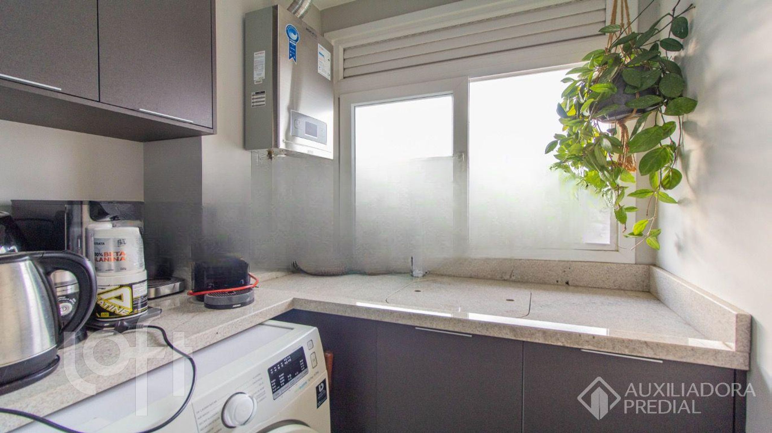 Imagem da propriedade 9