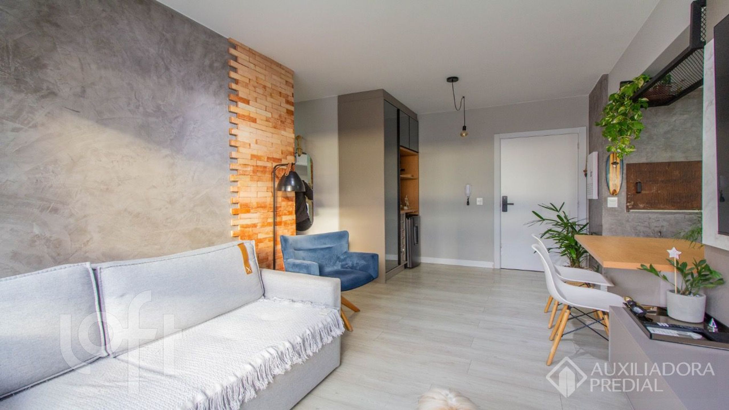 Imagem da propriedade 3