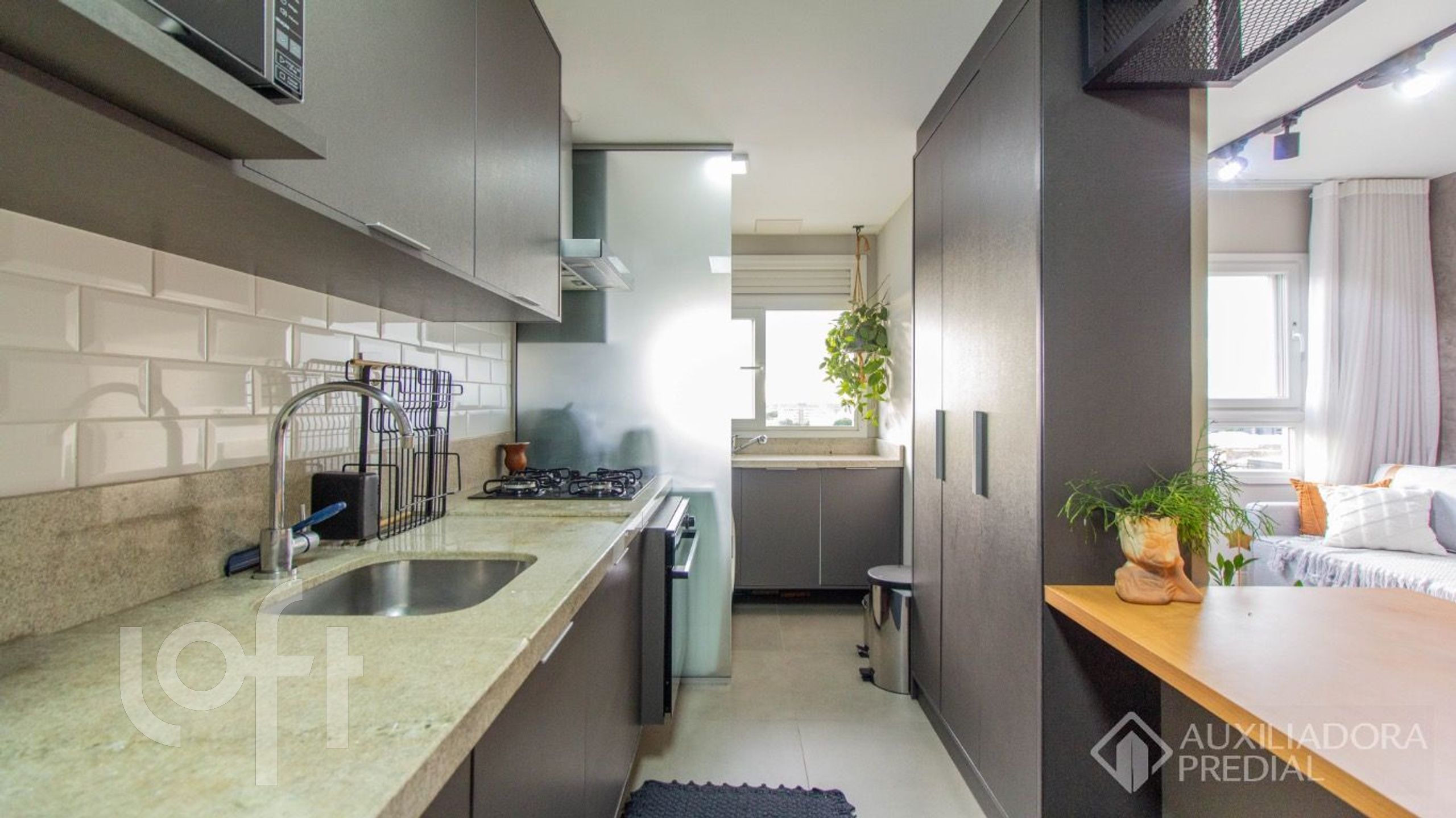 Imagem da propriedade 6