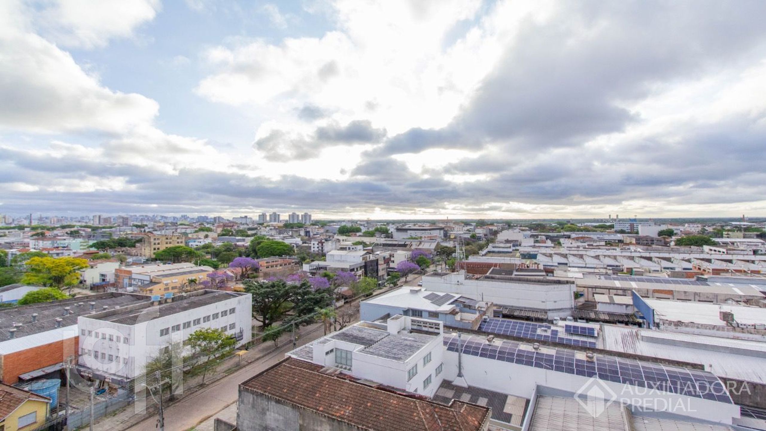 Imagem da propriedade 5