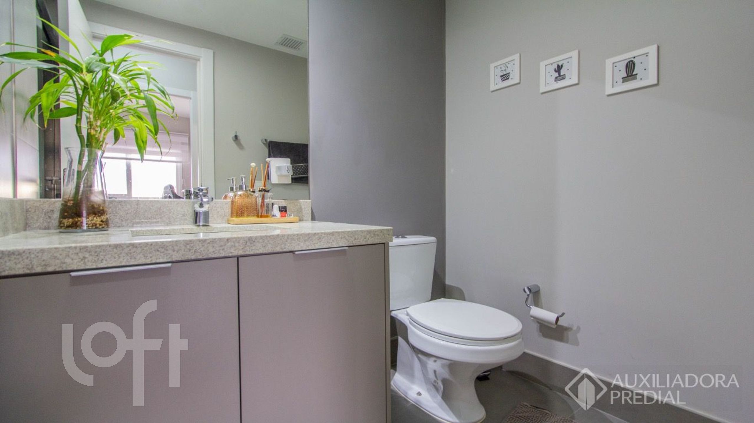 Imagem da propriedade 12