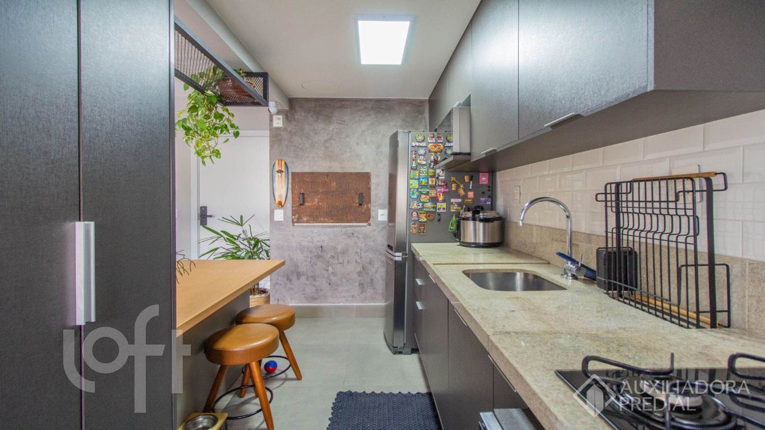 Imagem da propriedade 7