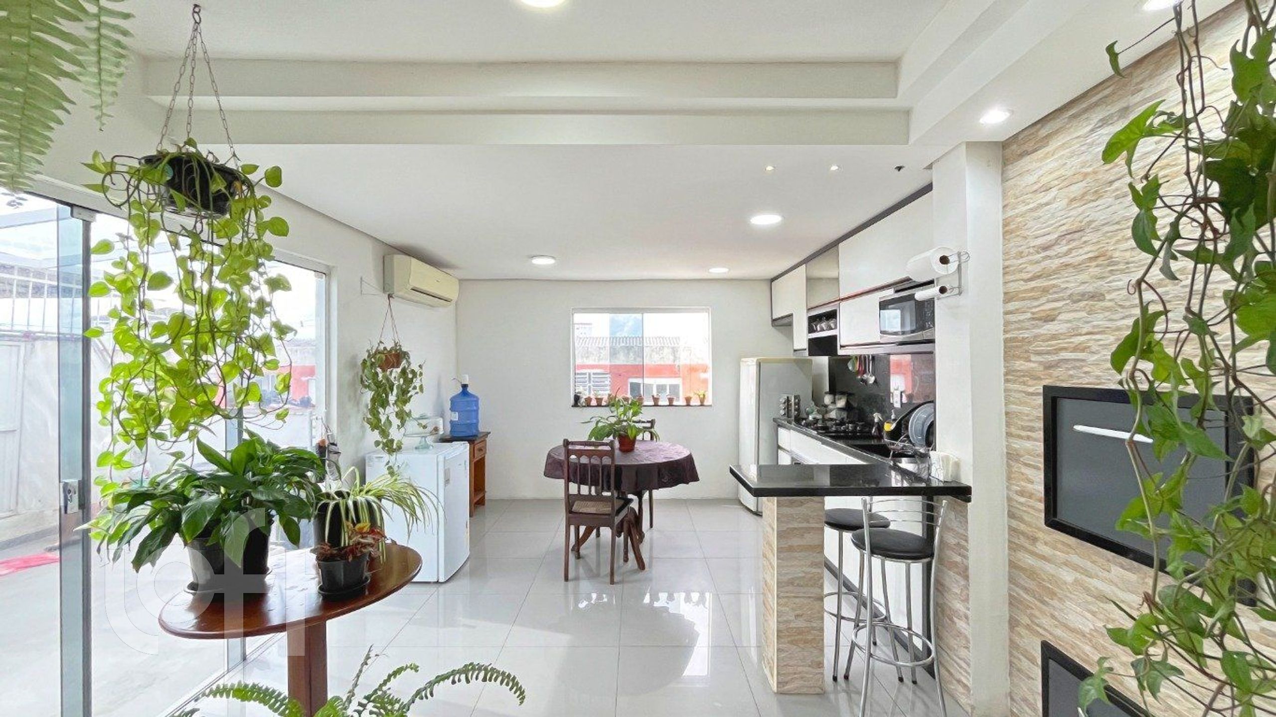 Imagem da propriedade 6