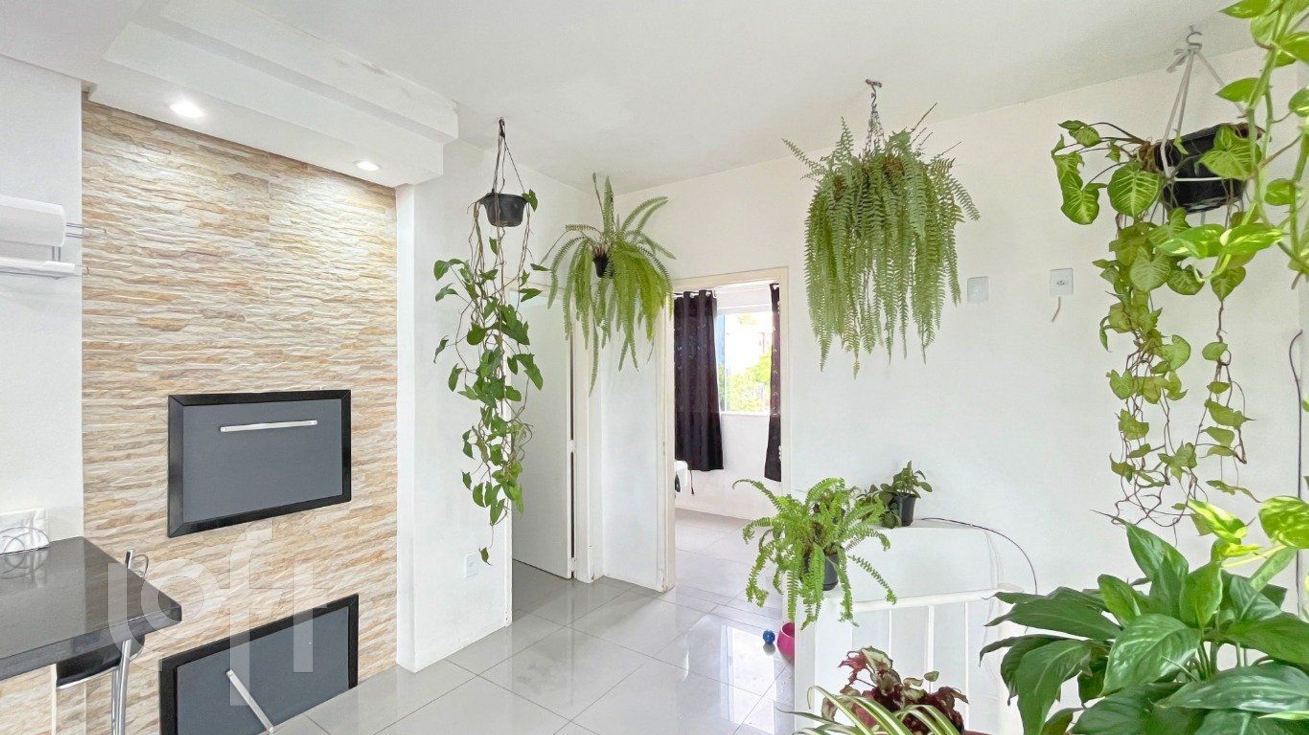 Imagem da propriedade 7