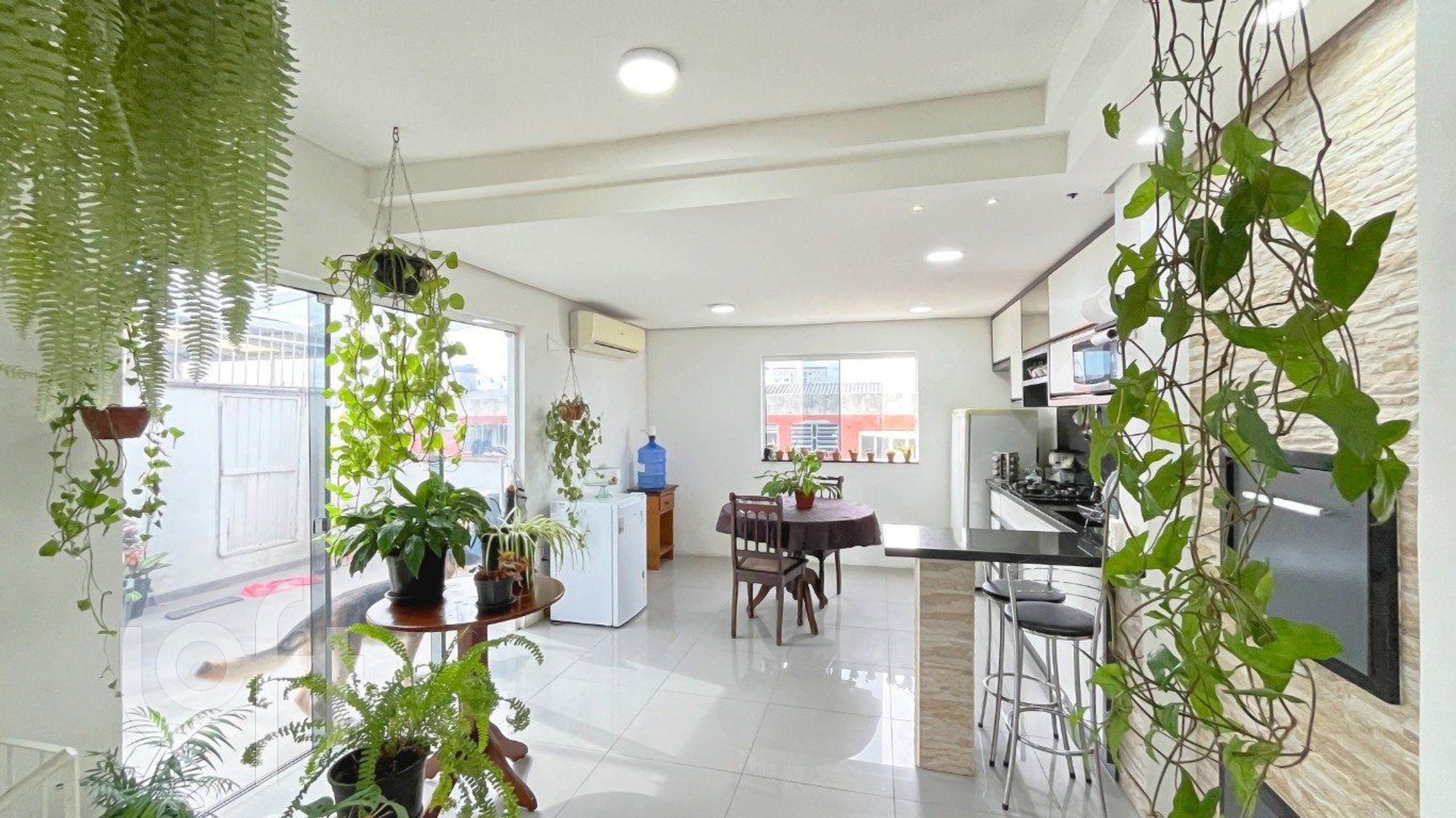 Imagem da propriedade 8