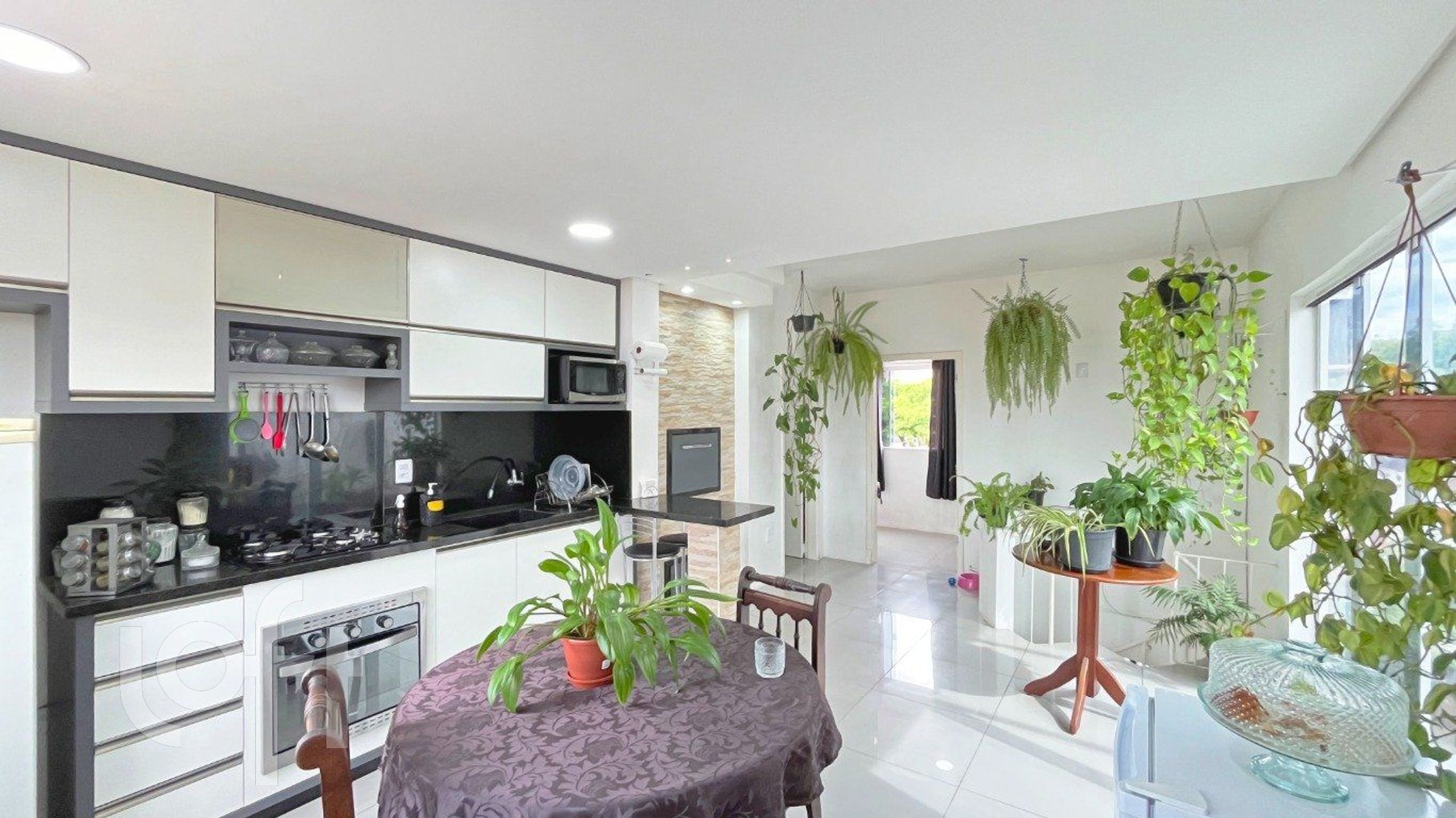 Imagem da propriedade 4