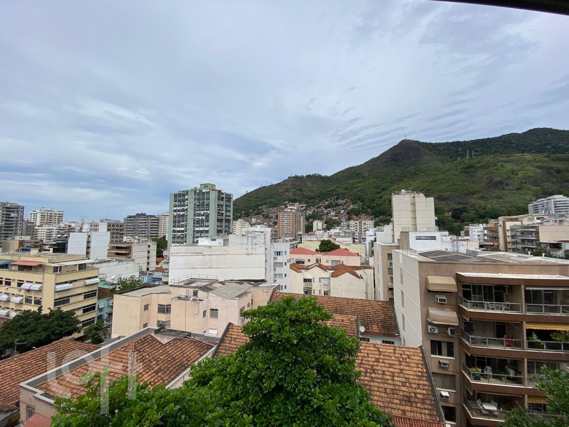 Imagem da propriedade 6