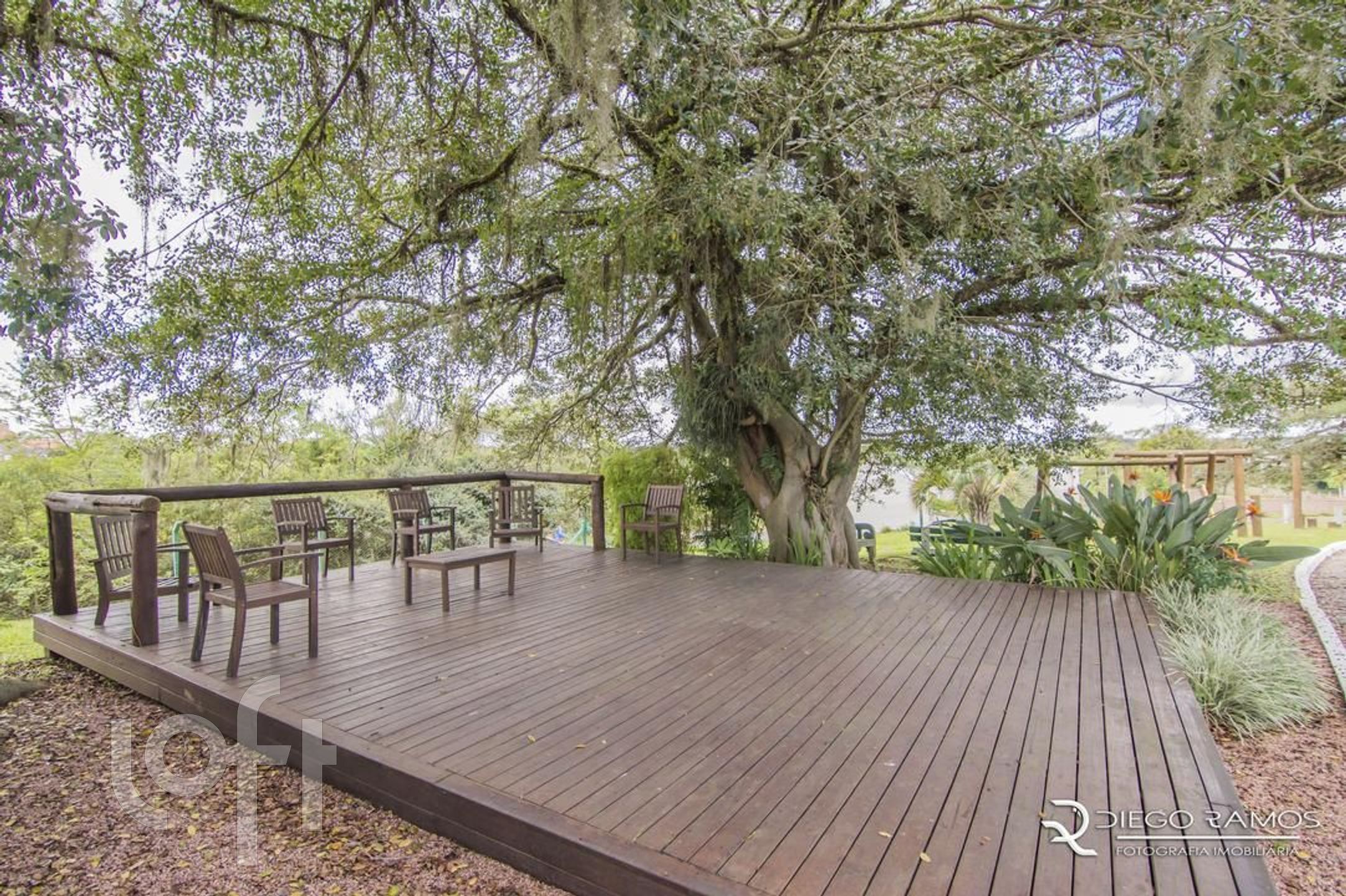 Imagem da propriedade 19