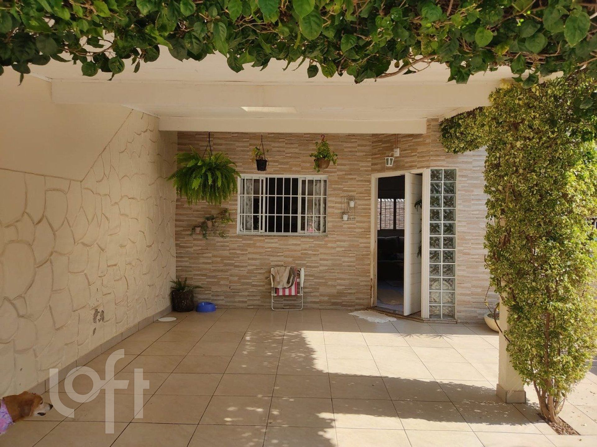 Imagem da propriedade 4